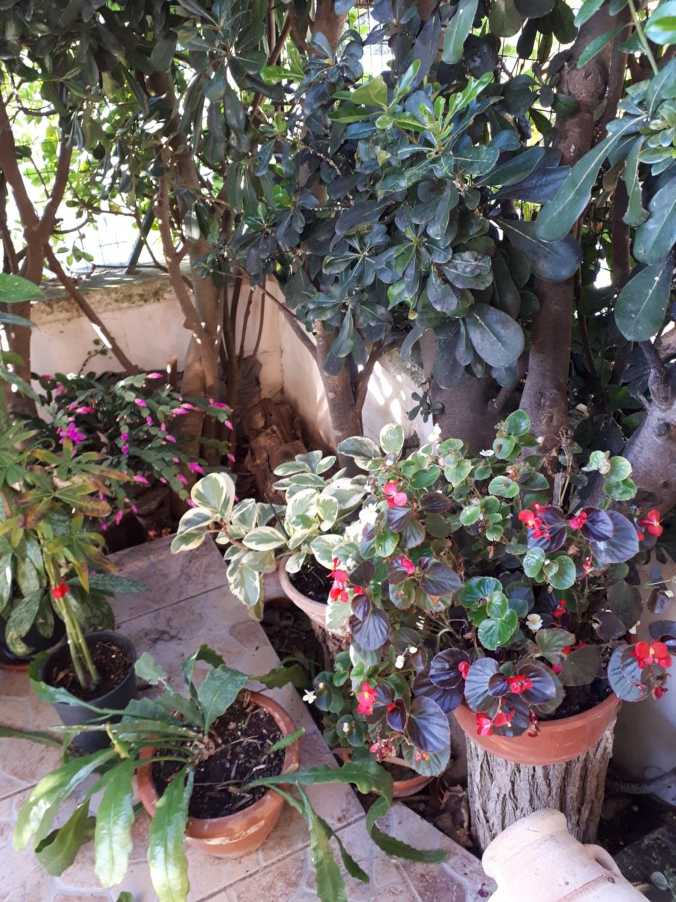 Photo 43