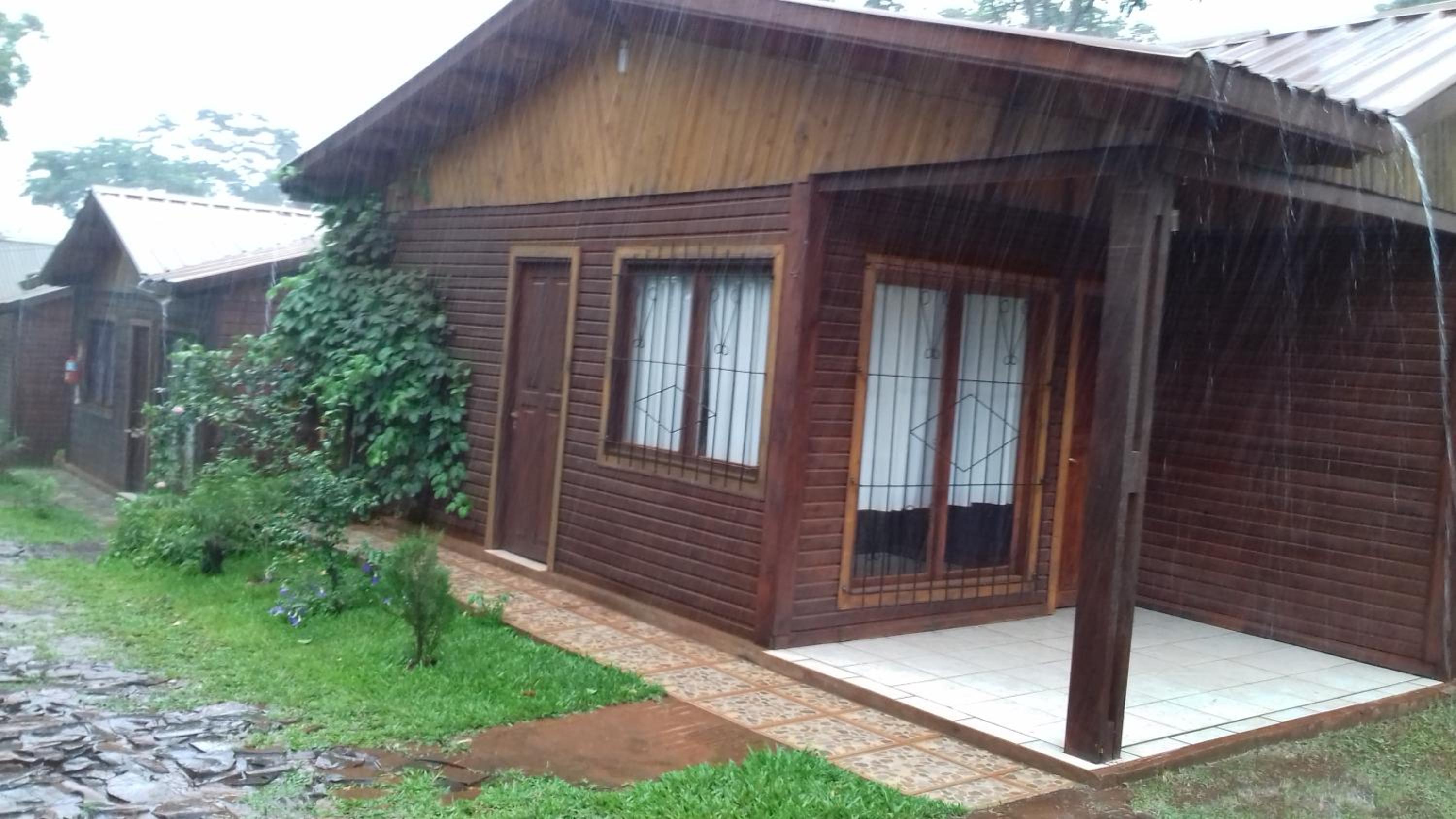 Voces De La Selva Misionera