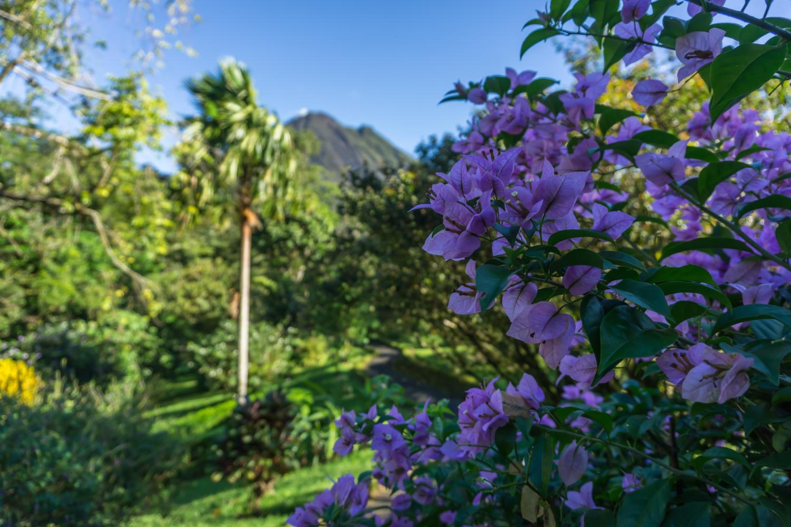 Arenal Observatory Lodge & Trails