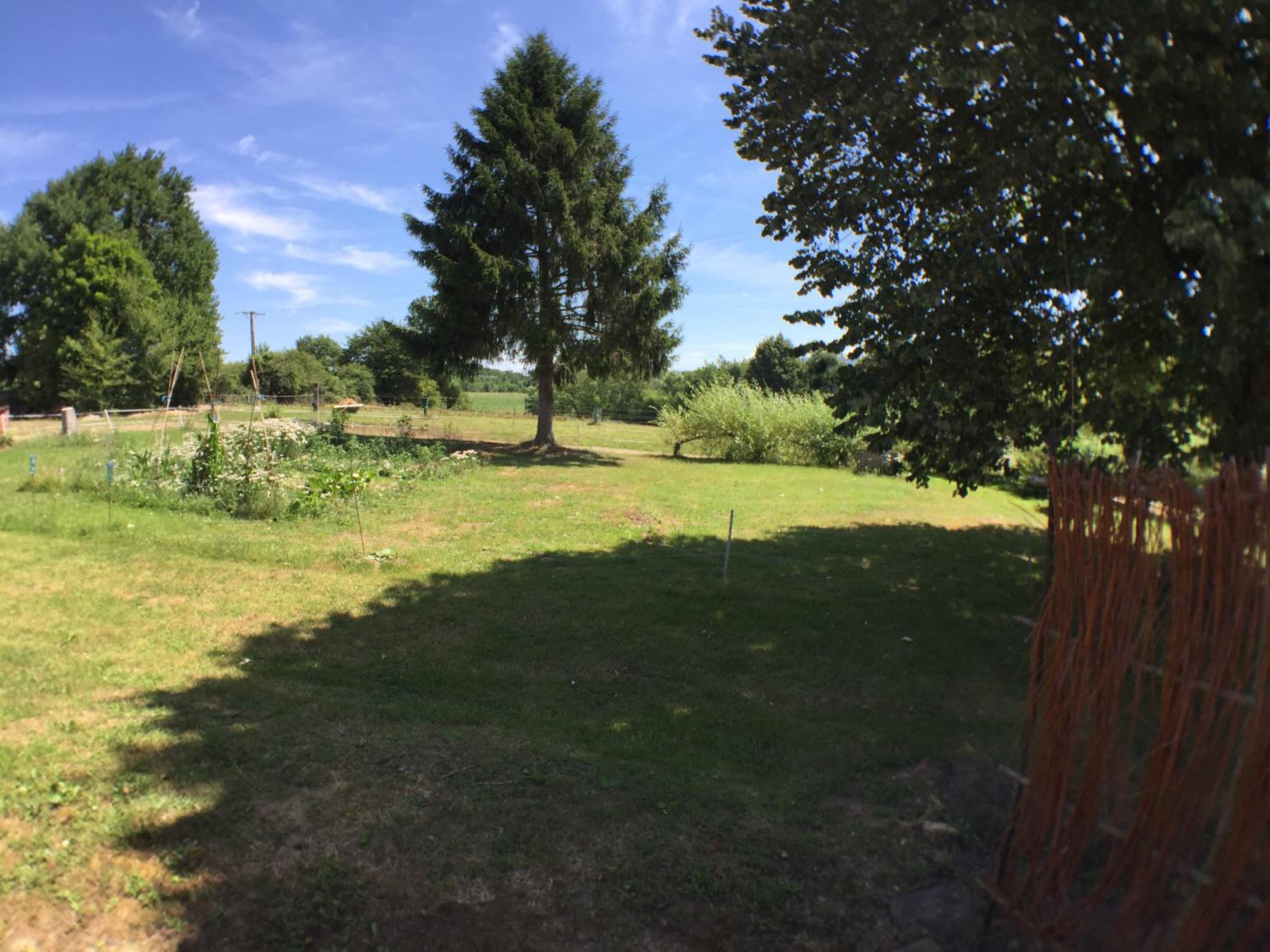 Photo 17