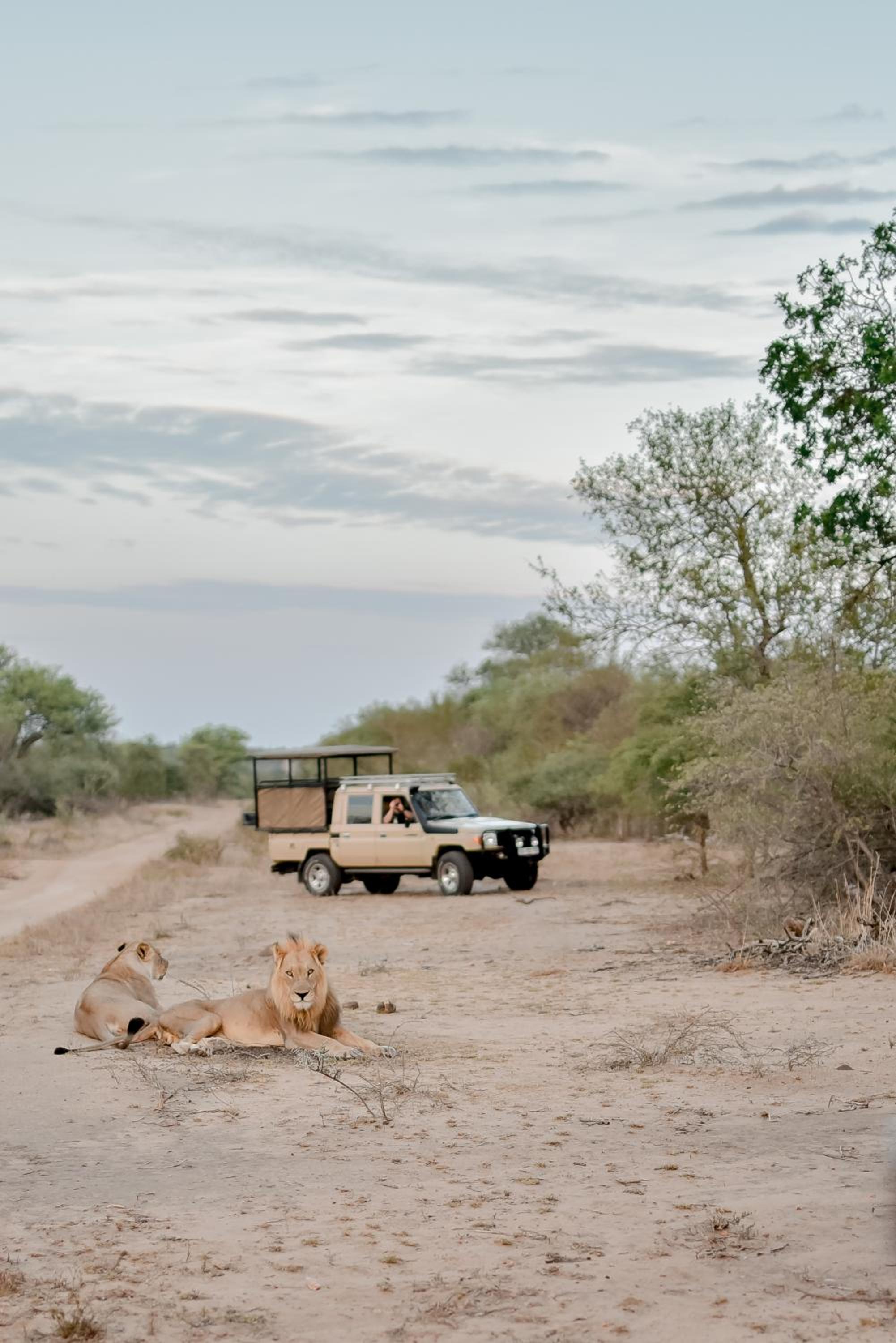 Moditlo River Lodge