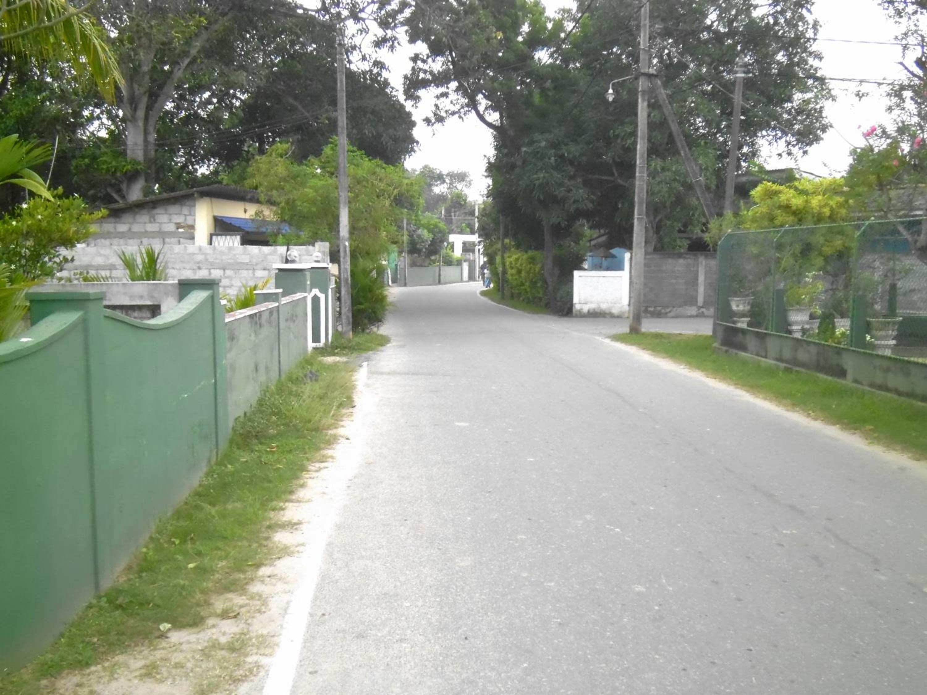 Photo 48