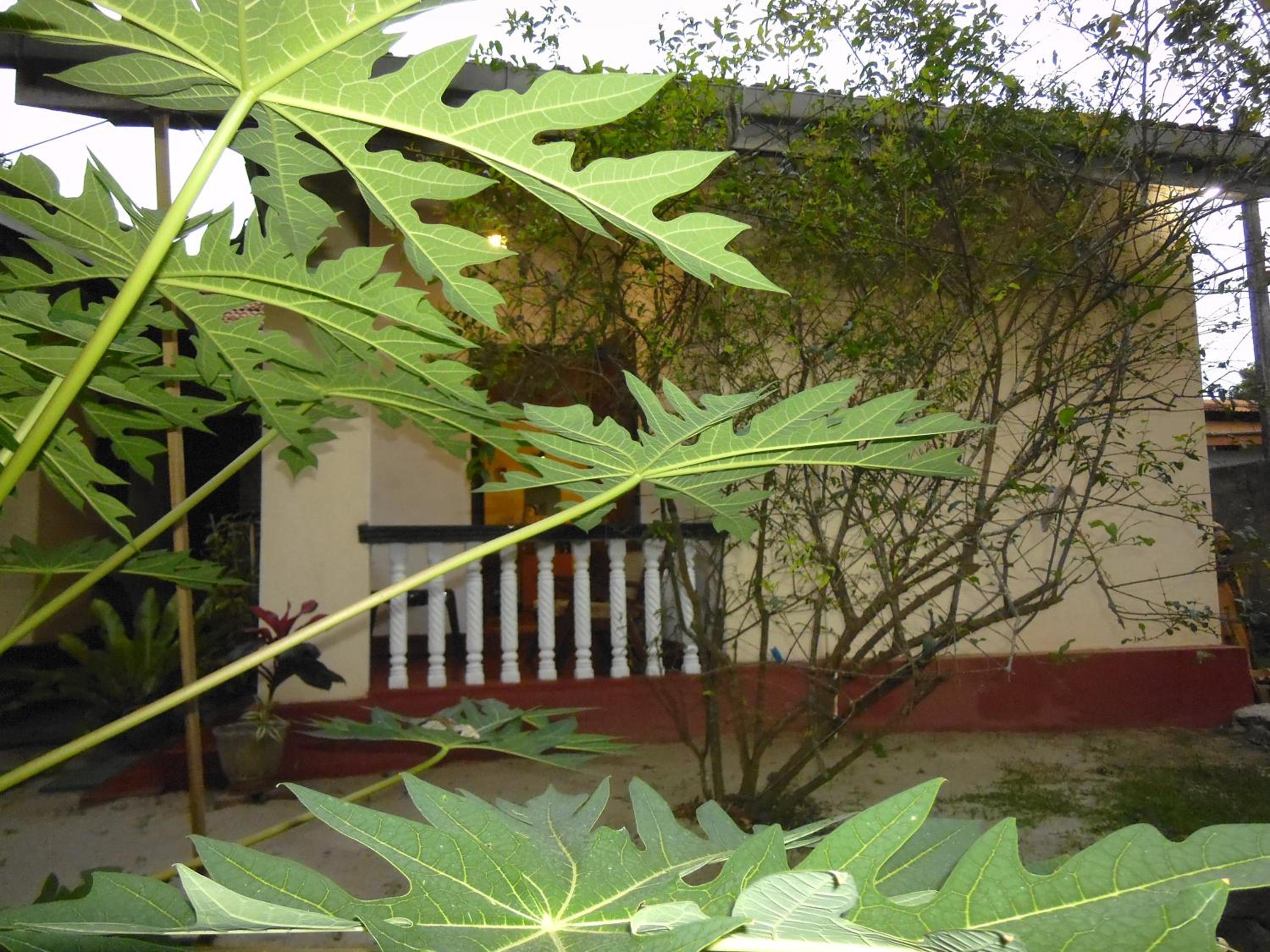 Photo 44