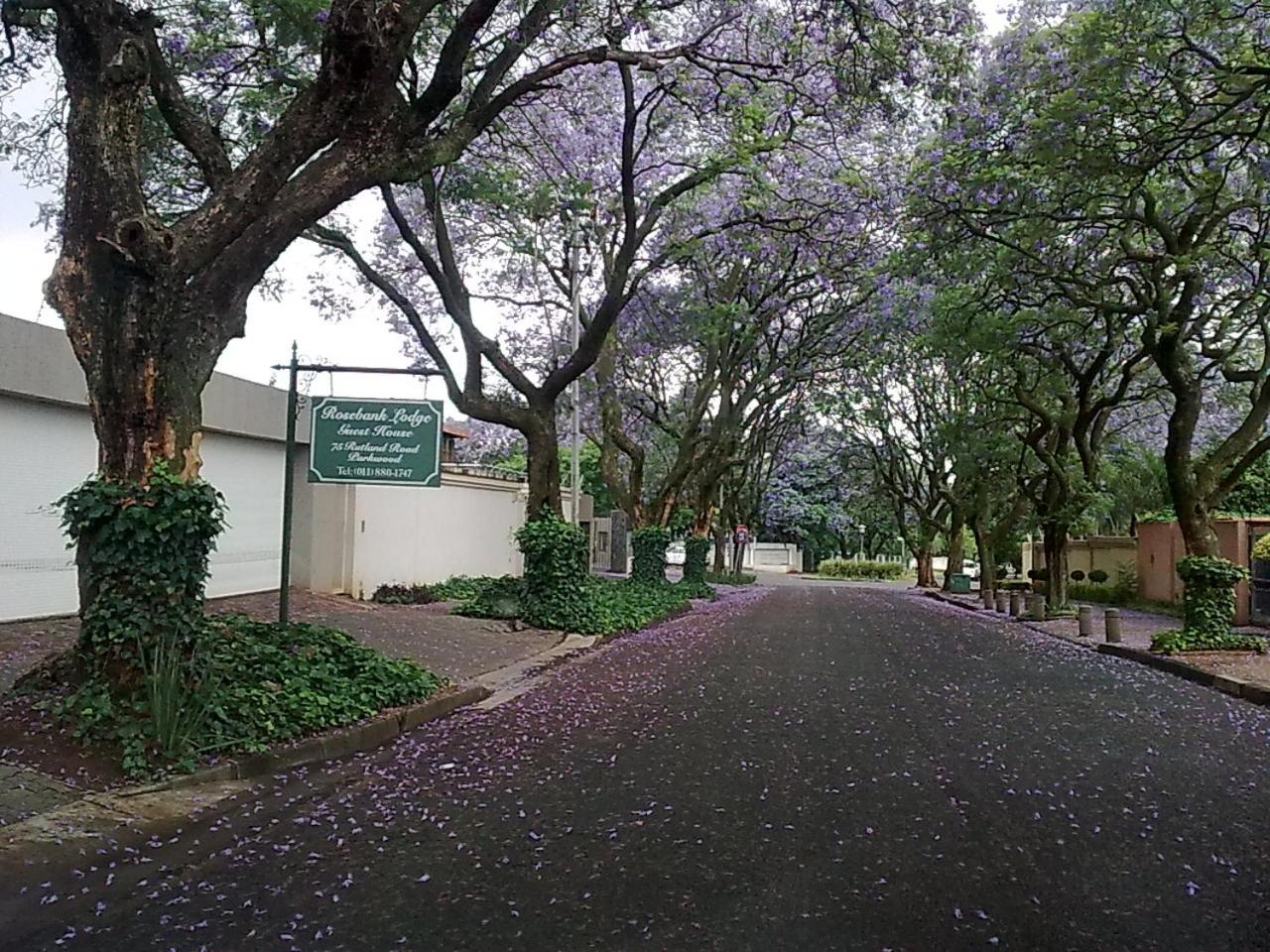 Rosebank Lodge Guesthouse by Claires