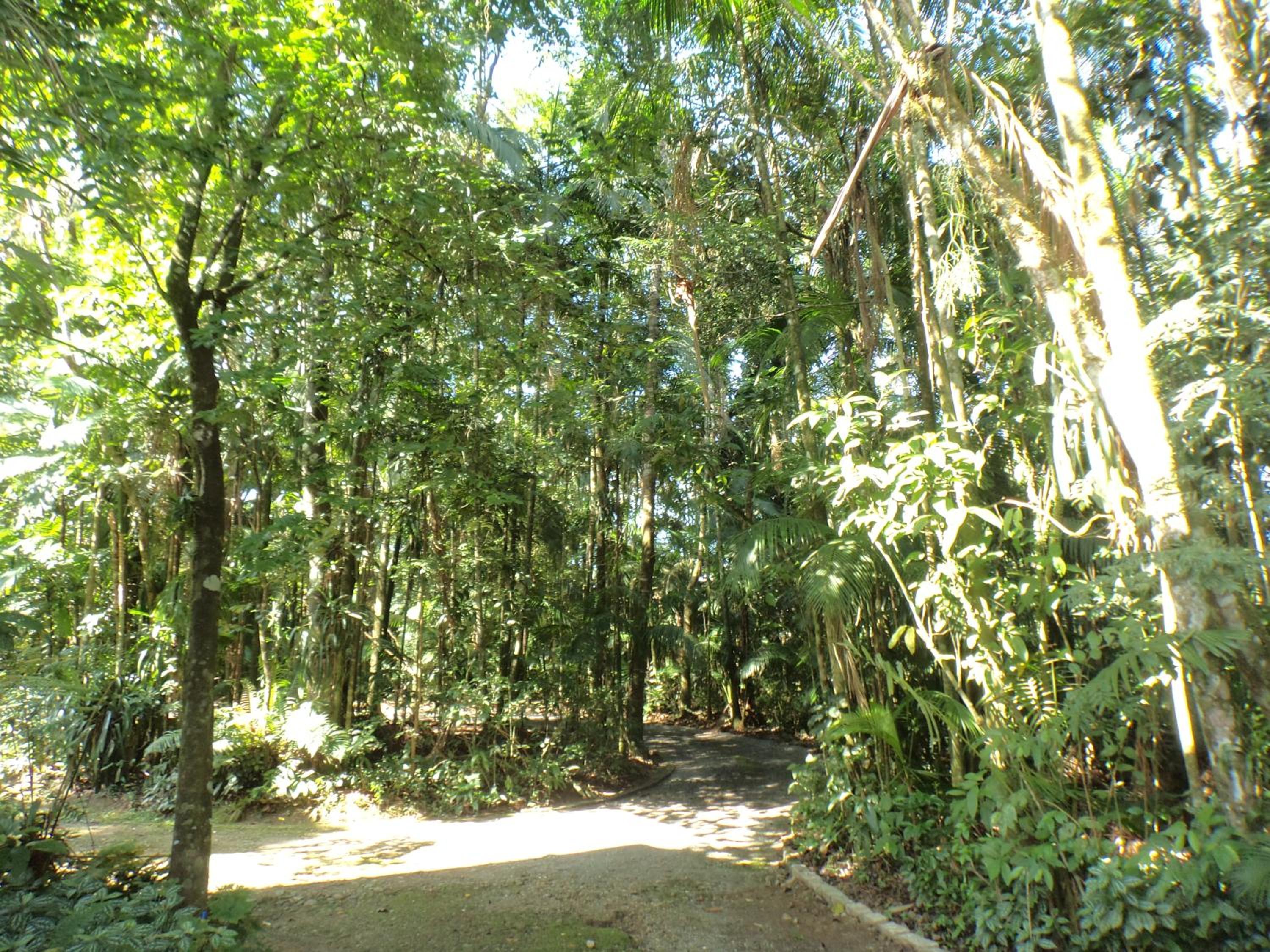 Pousada Itupava