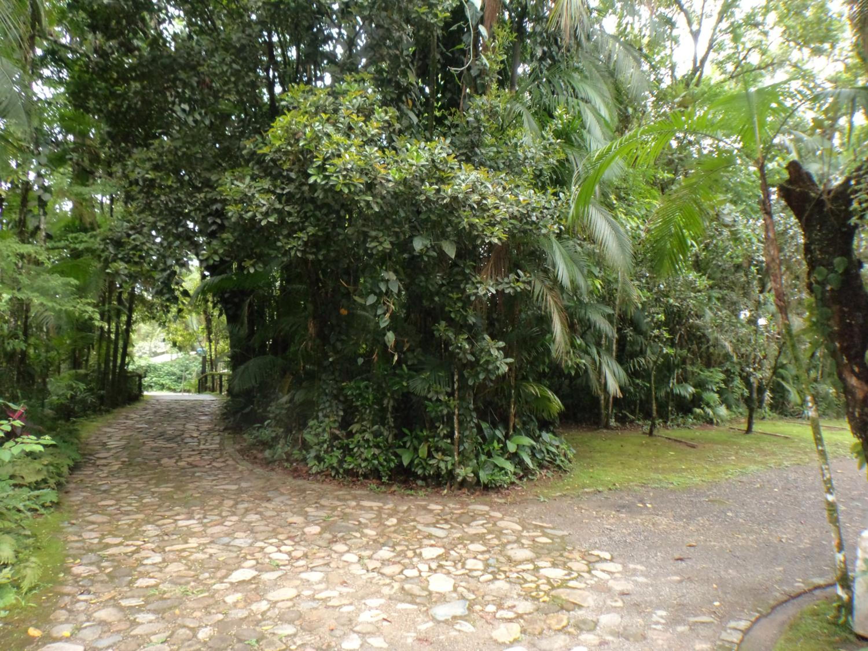 Pousada Itupava