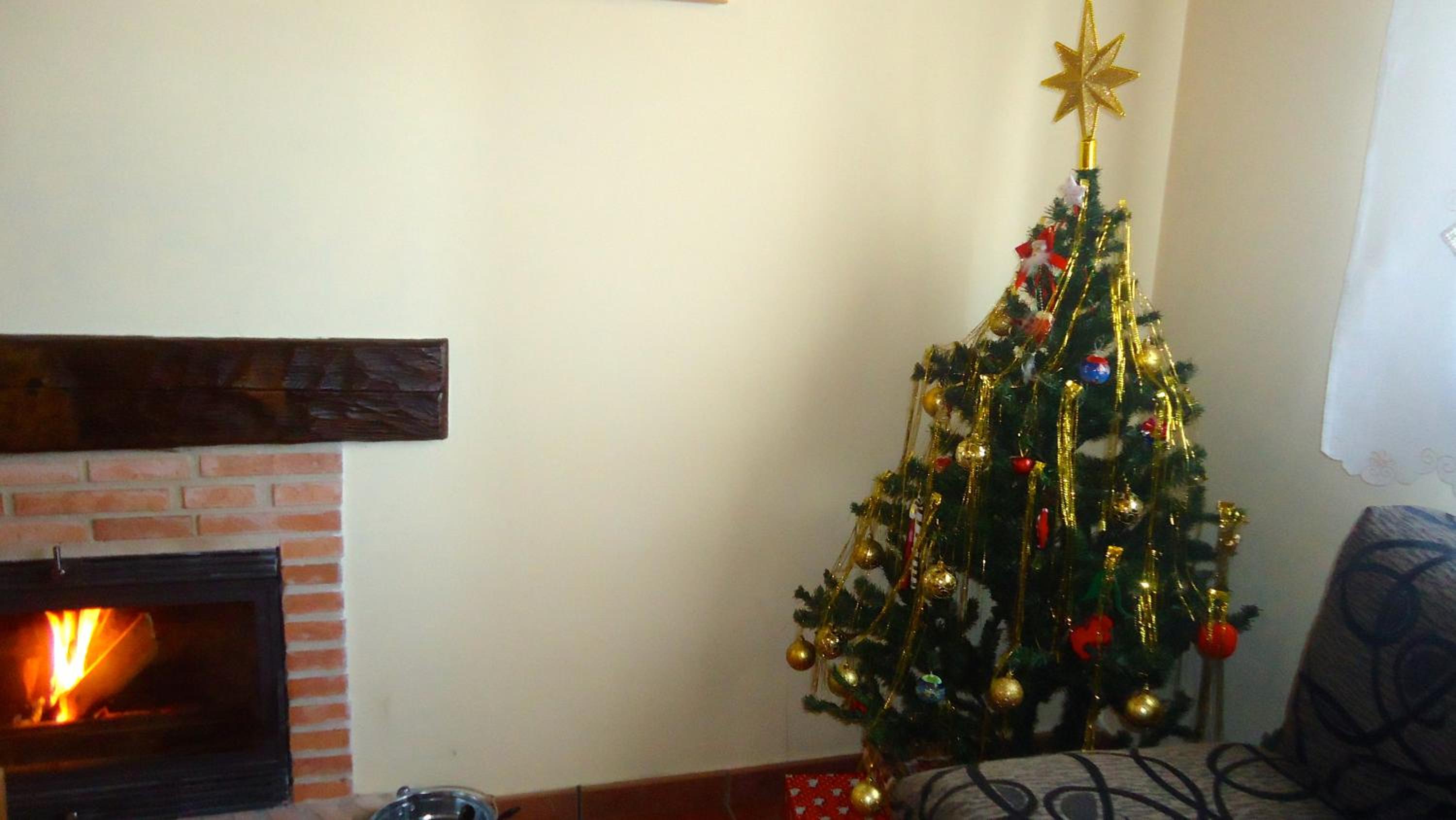 Photo 47