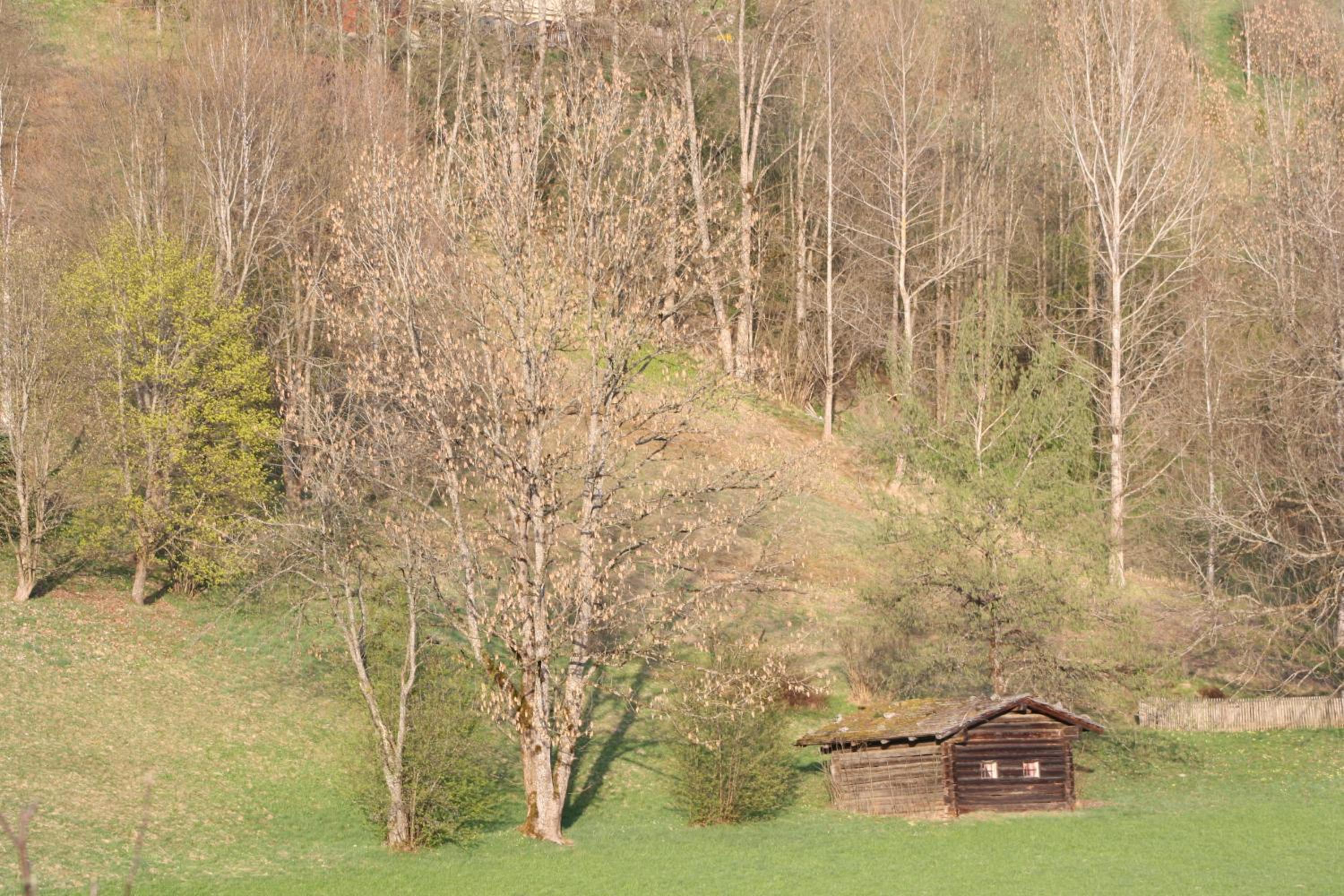Haus Pfeiffenberger