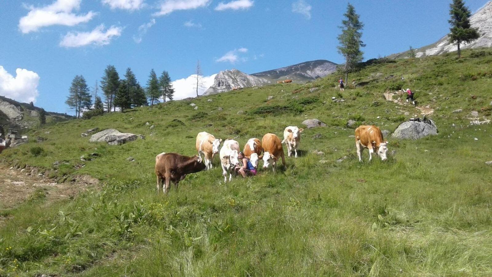 Denggnhof