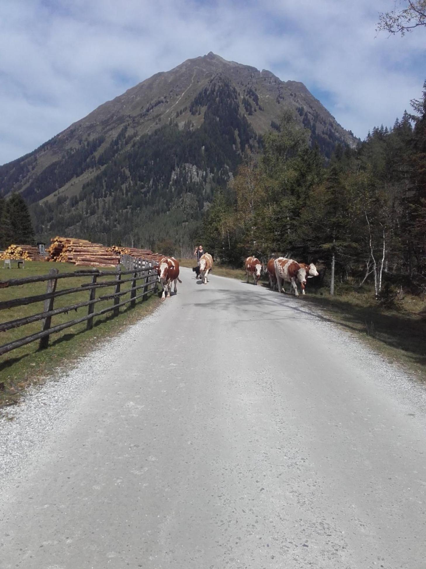 Denggnhof
