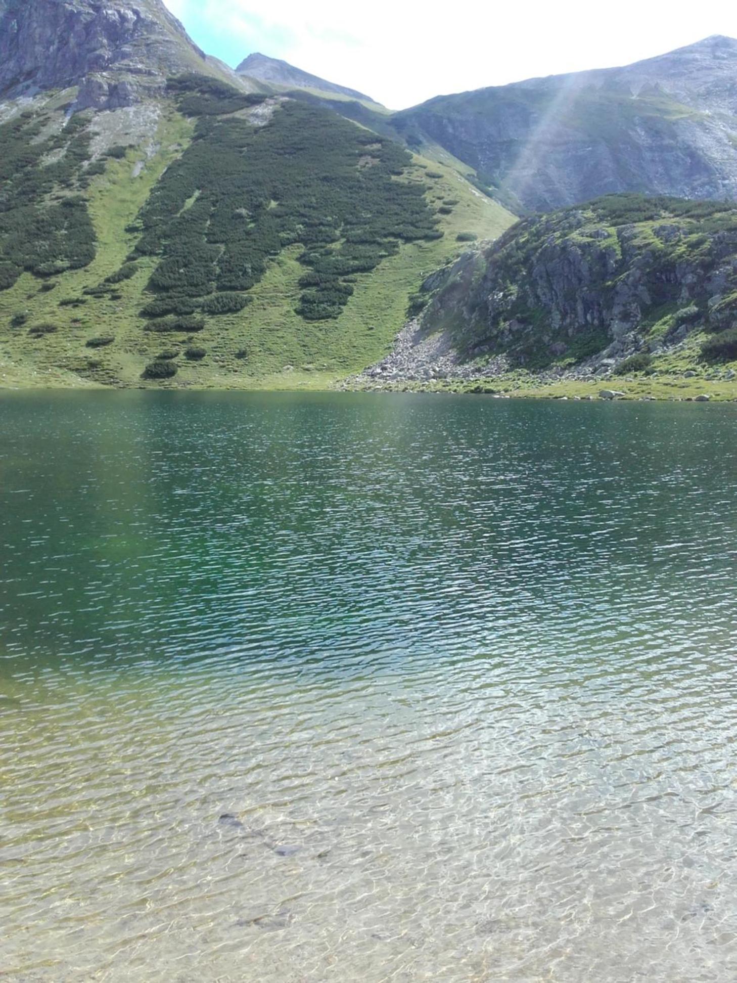 Denggnhof