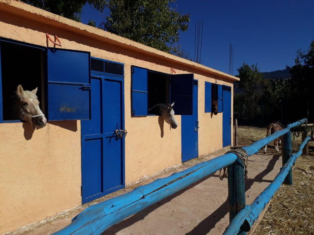 Le Vallon Vert - Club Equestre