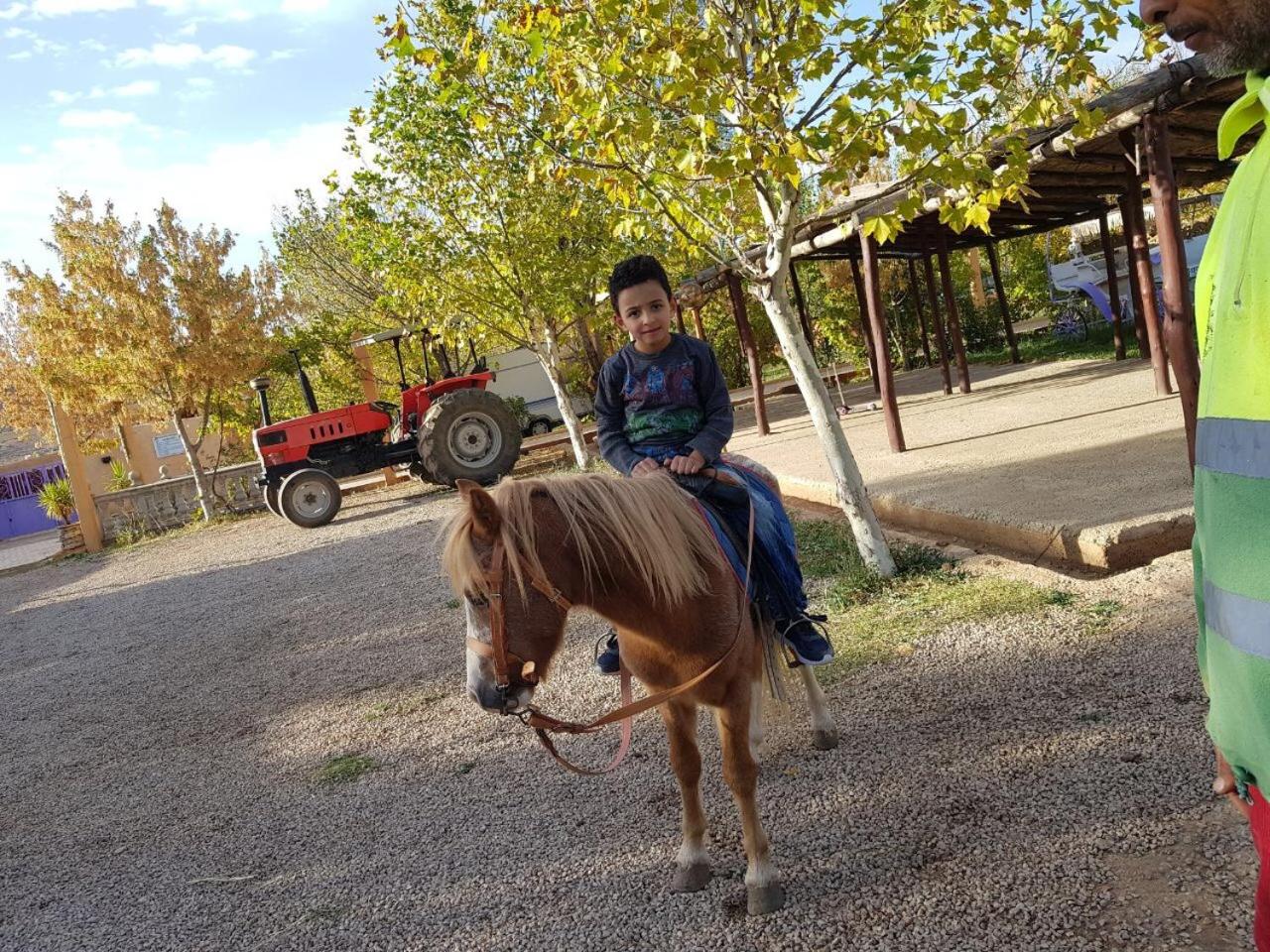 Le Vallon Vert - Club Equestre