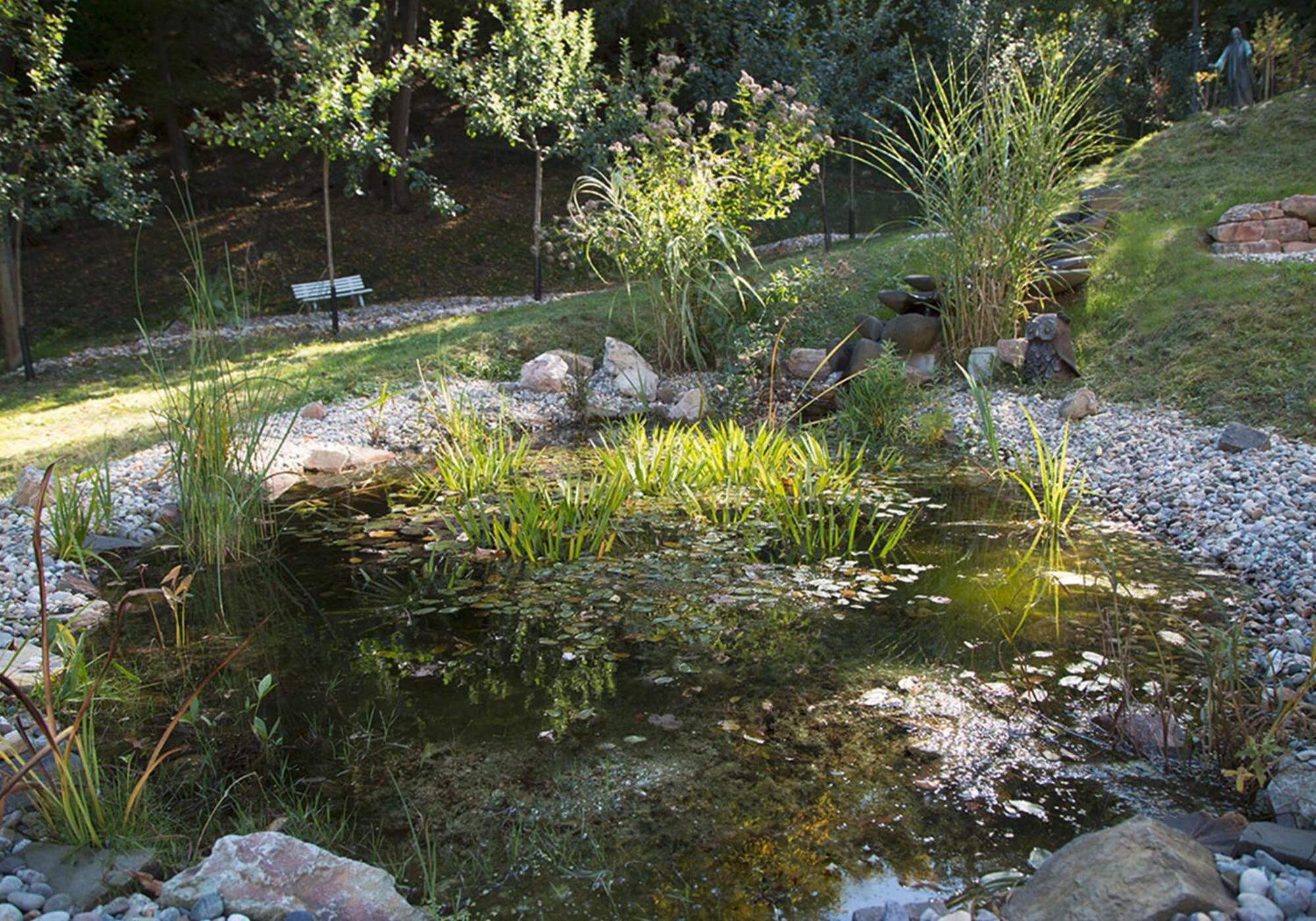 Photo 42