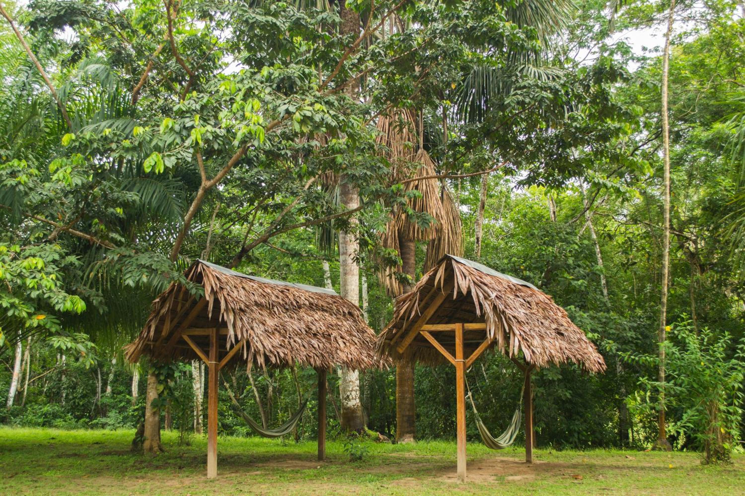 Ämak Iquitos Ecolodge - All Inclusive