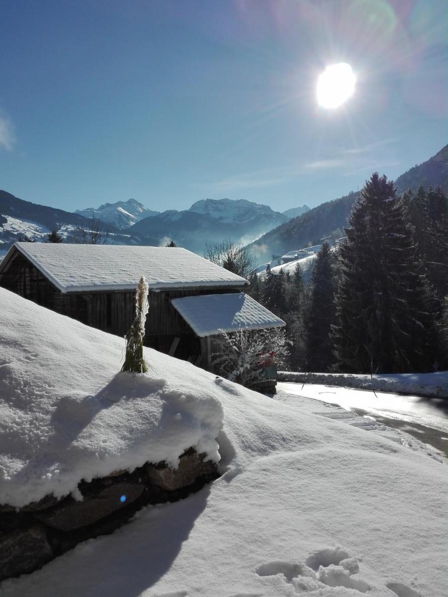 Apart Gerlossteinblick