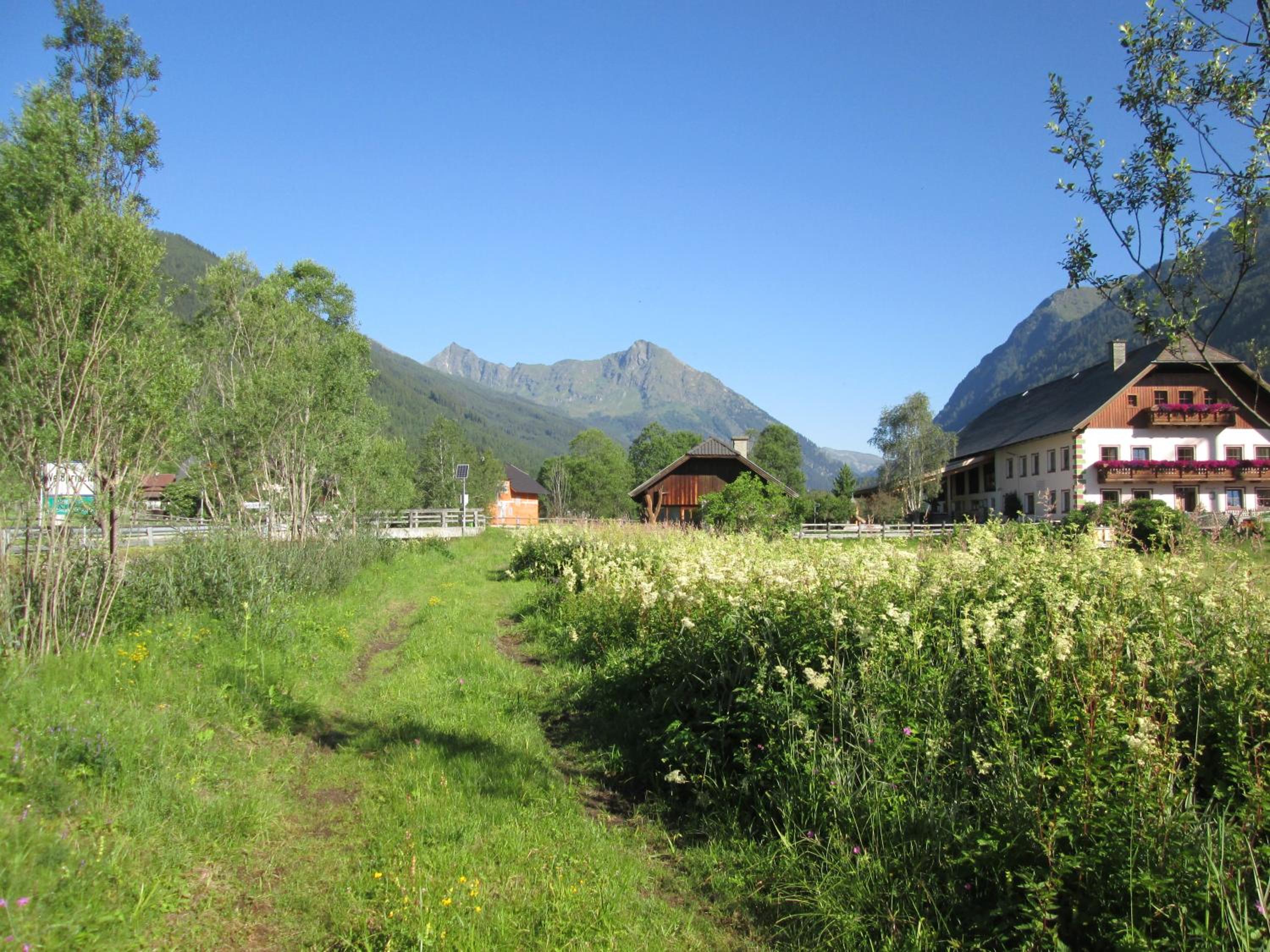 Denggnhof