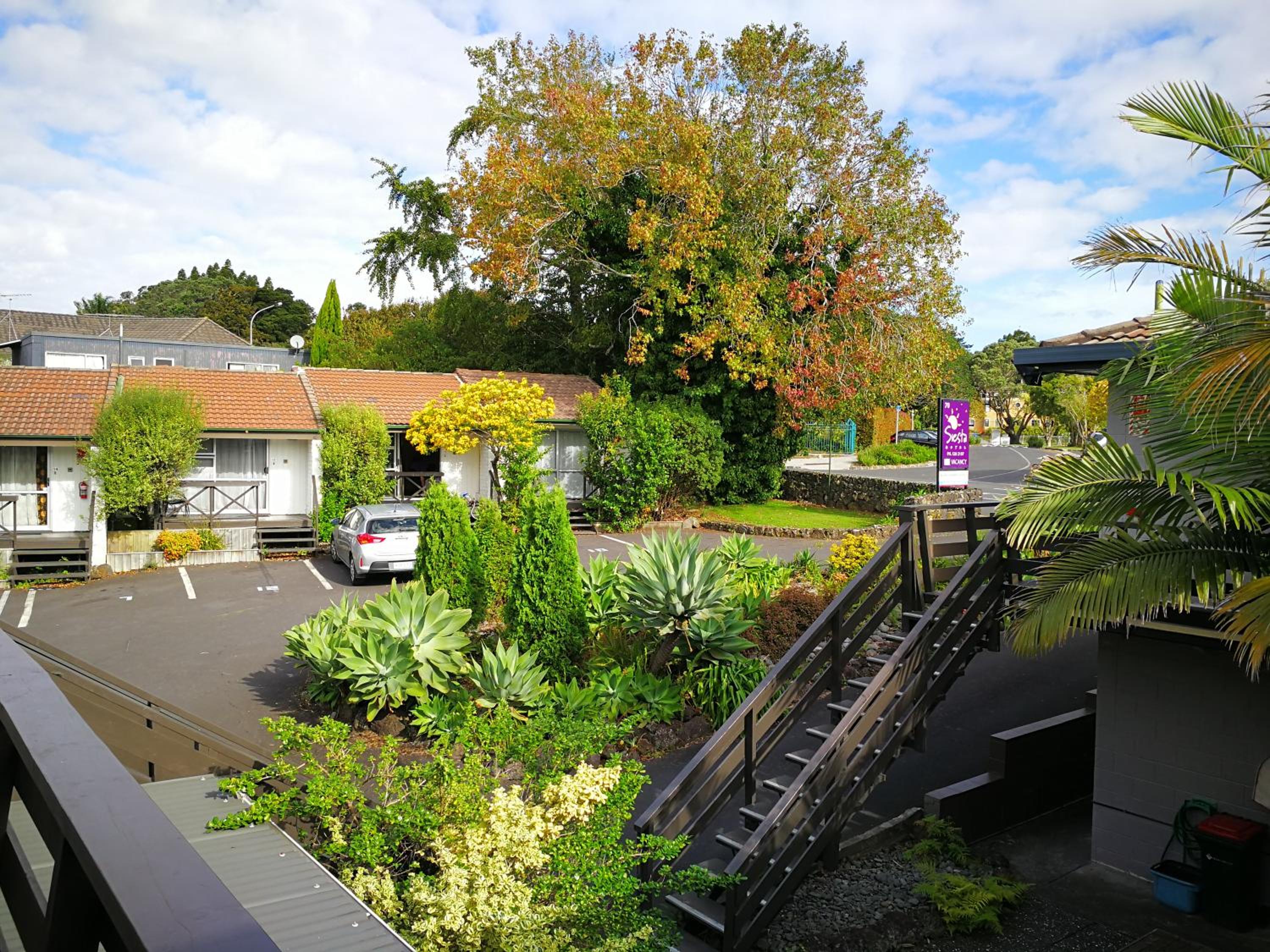 Siesta Motel