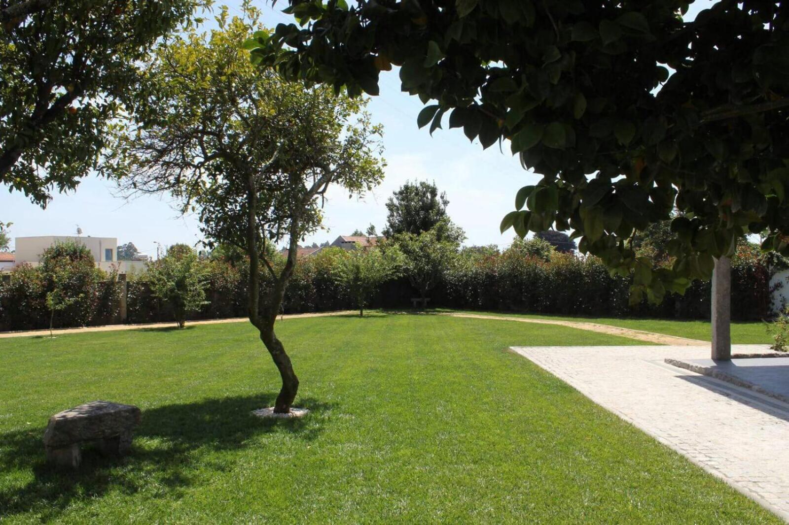 Photo 37