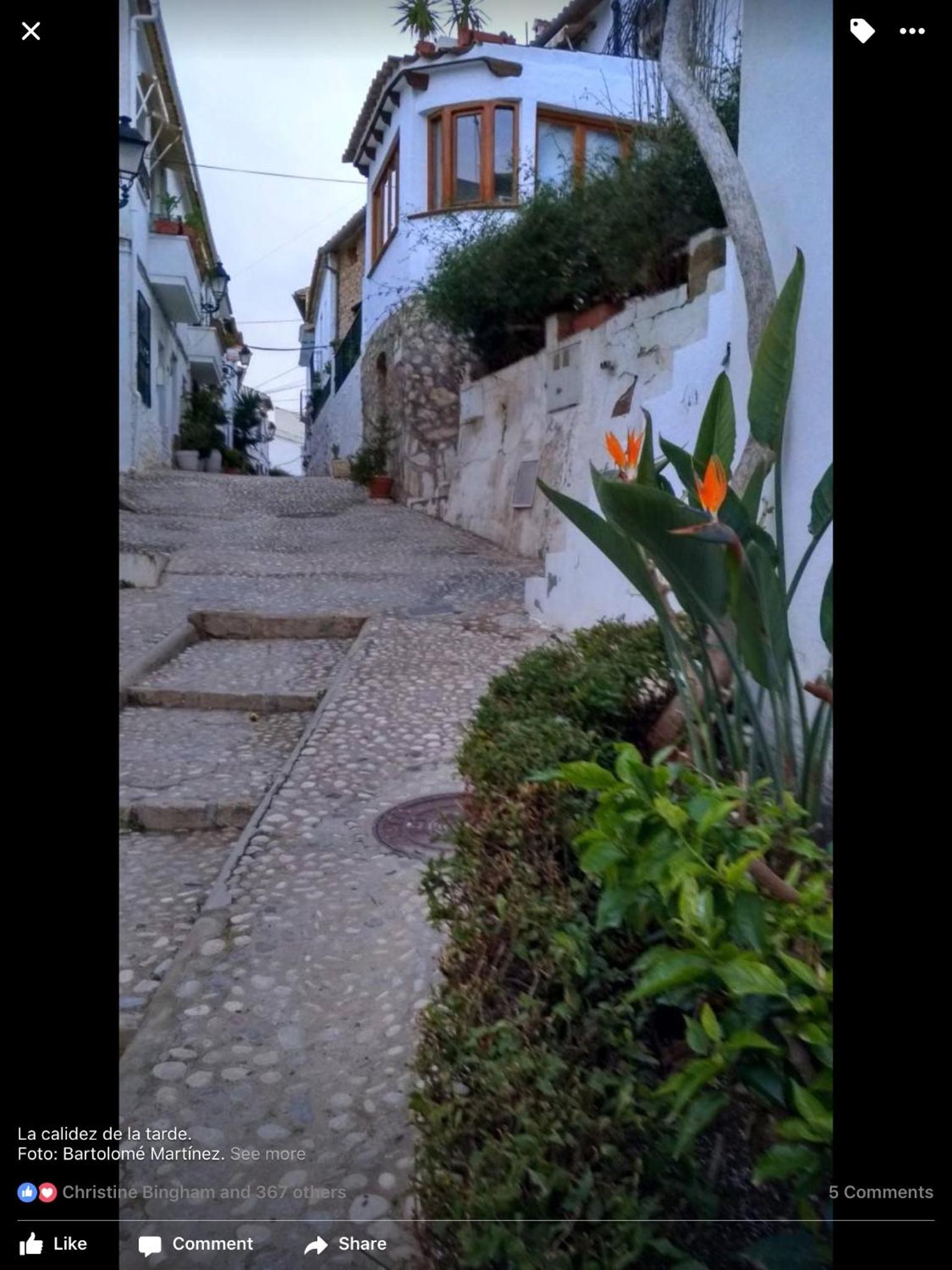Photo 16