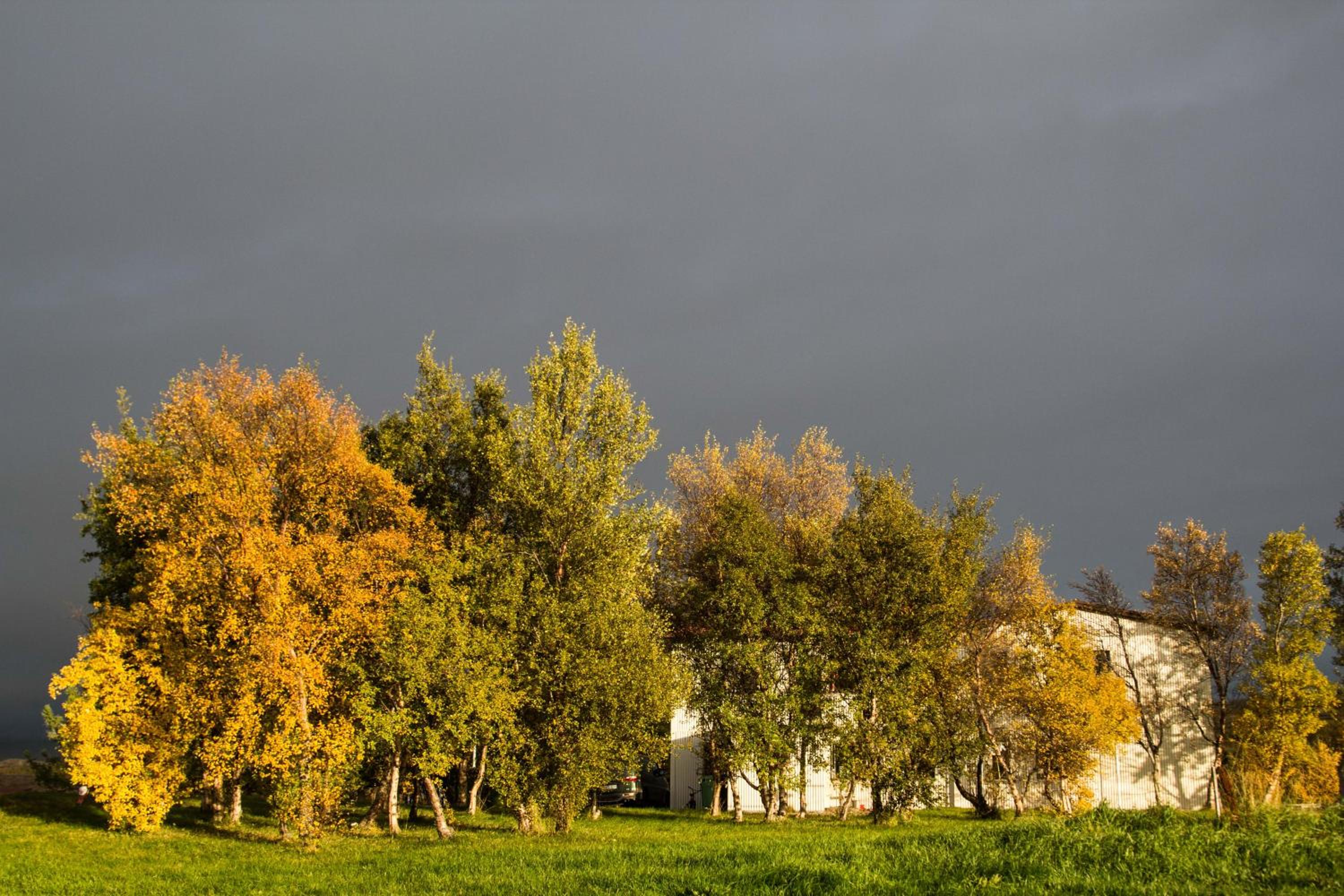 Mjóanes accommodation