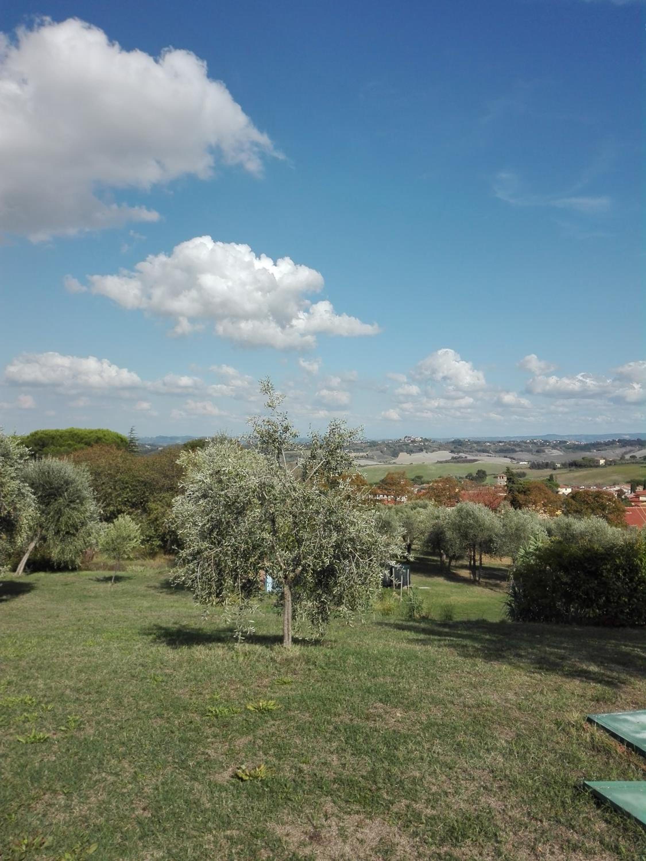 Le Pergoline B&B view 2