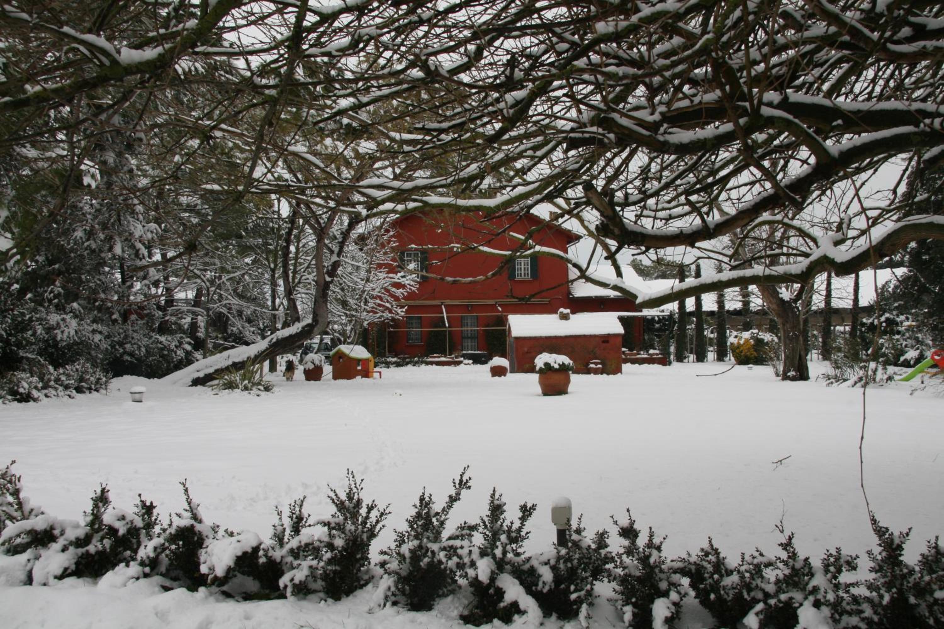 Tenuta Agricola Fonte Di Papa view 2