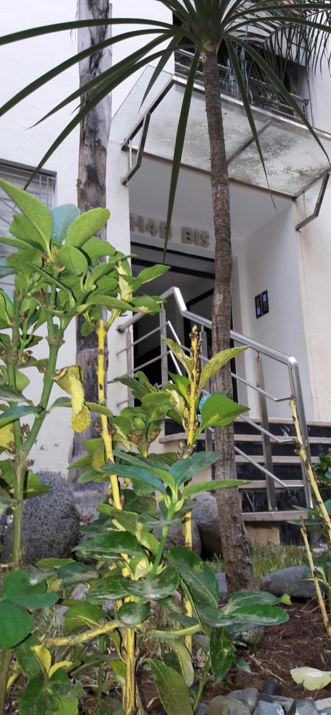 Horizon Garden Home view 2
