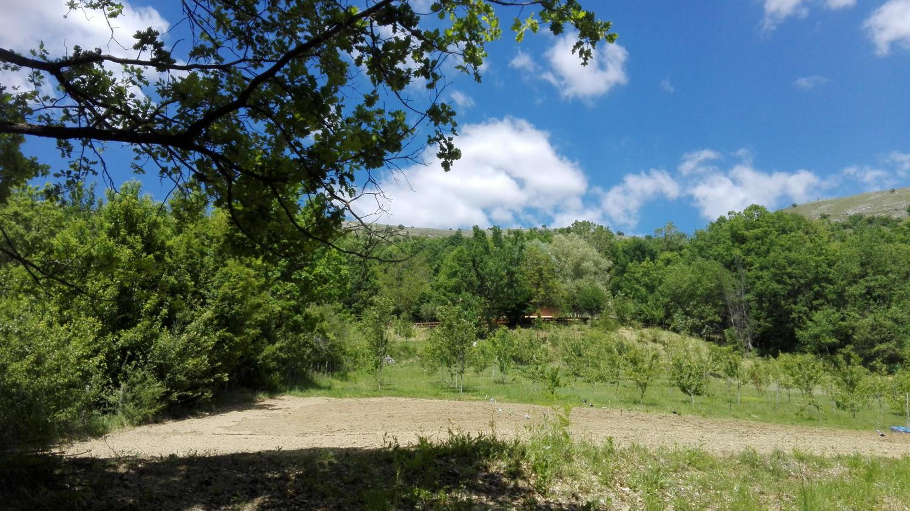 Photo 41