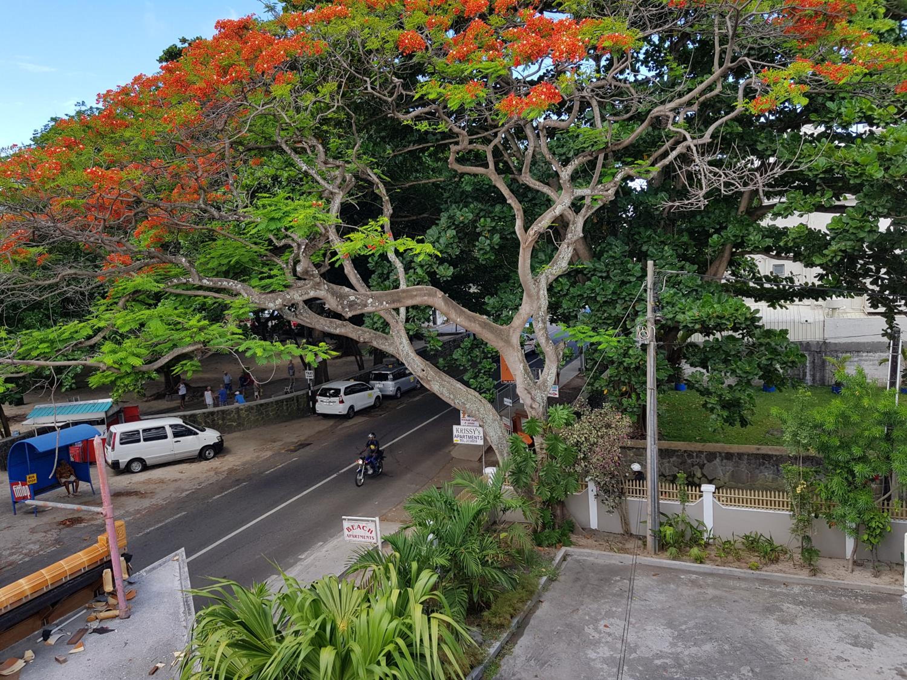 Pereybere Beach Apartments photo 2