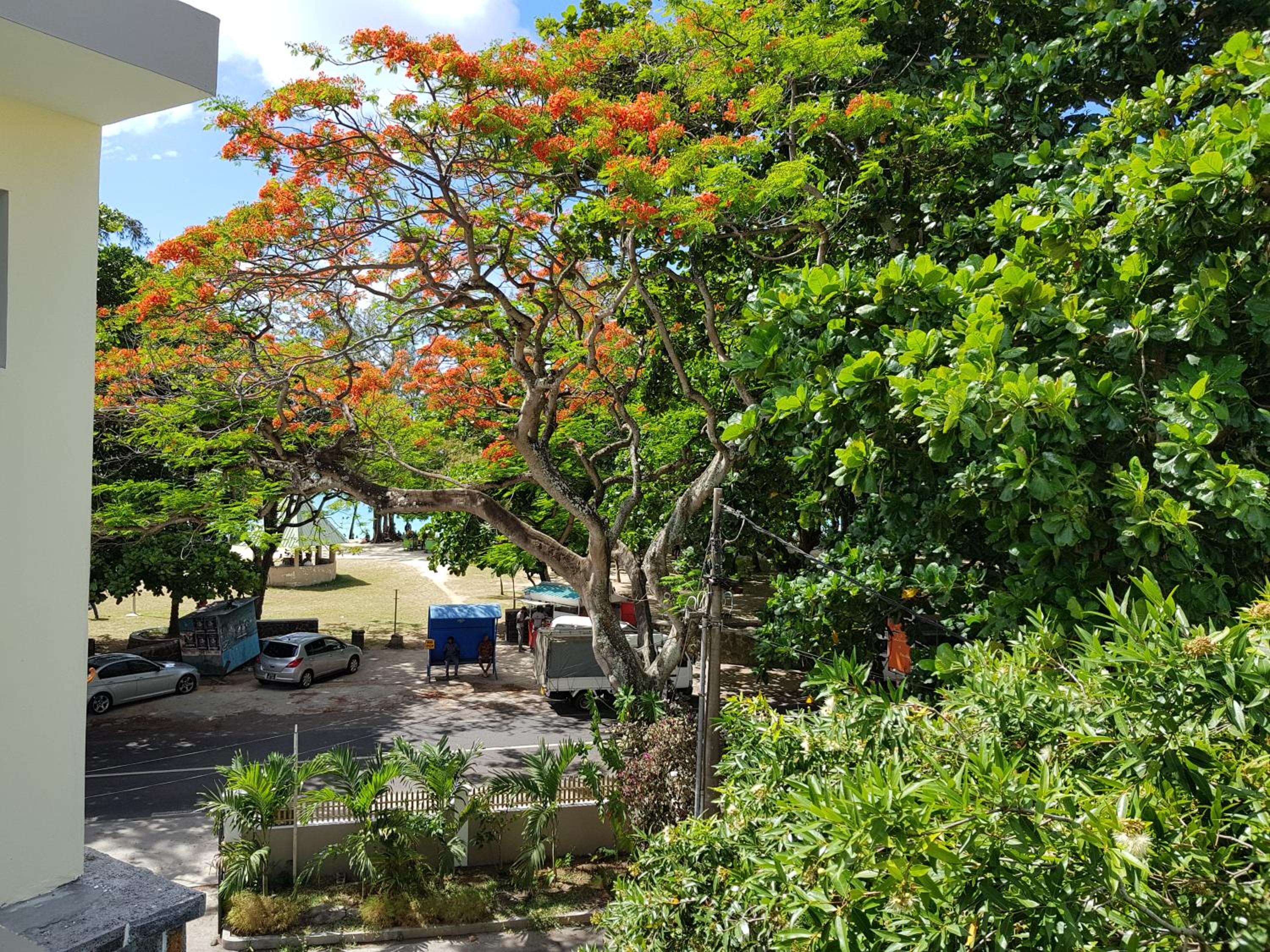 Pereybere Beach Apartments photo 5