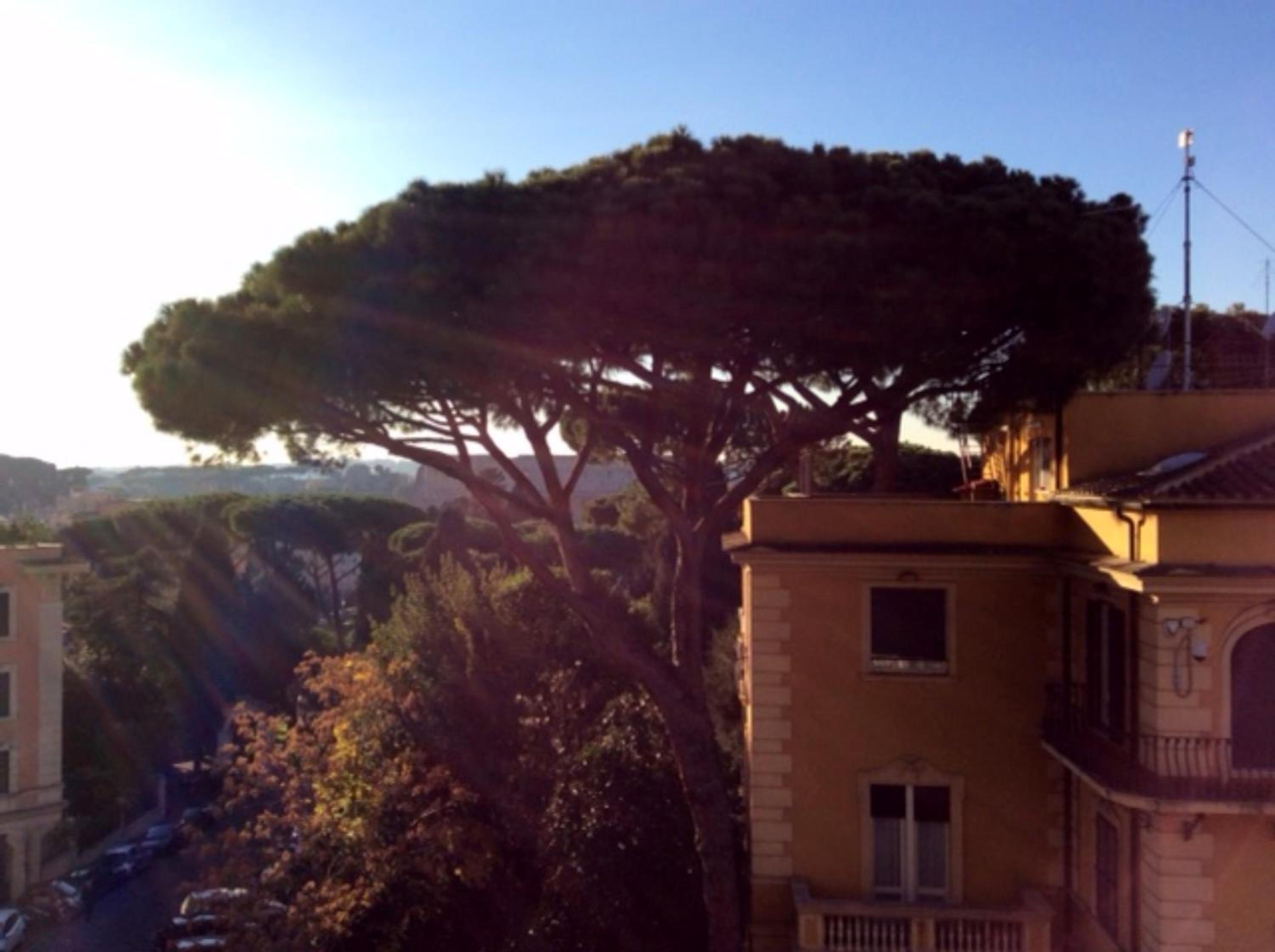 Colosseum View Exclusive Apartment