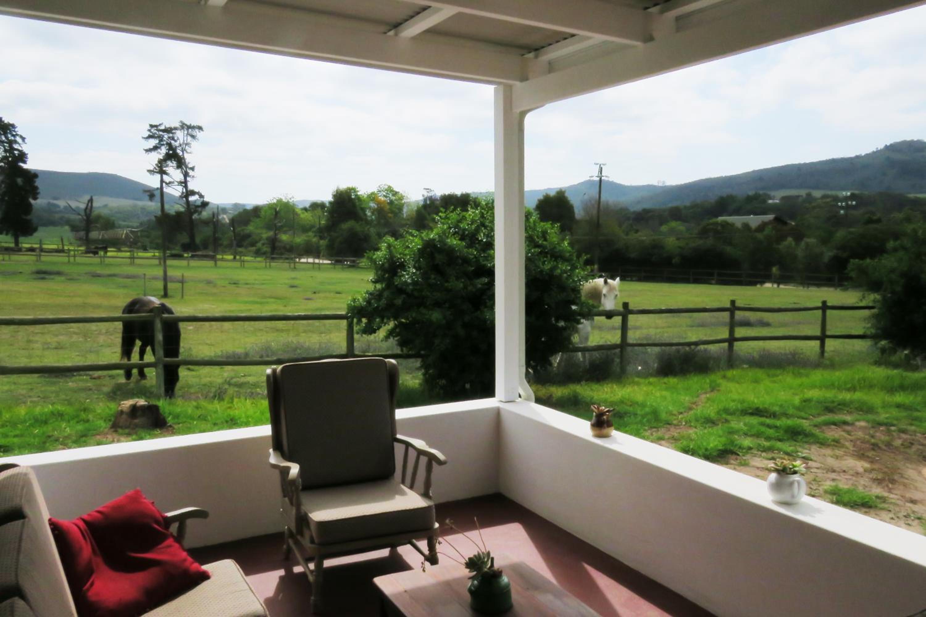 Out of Plett