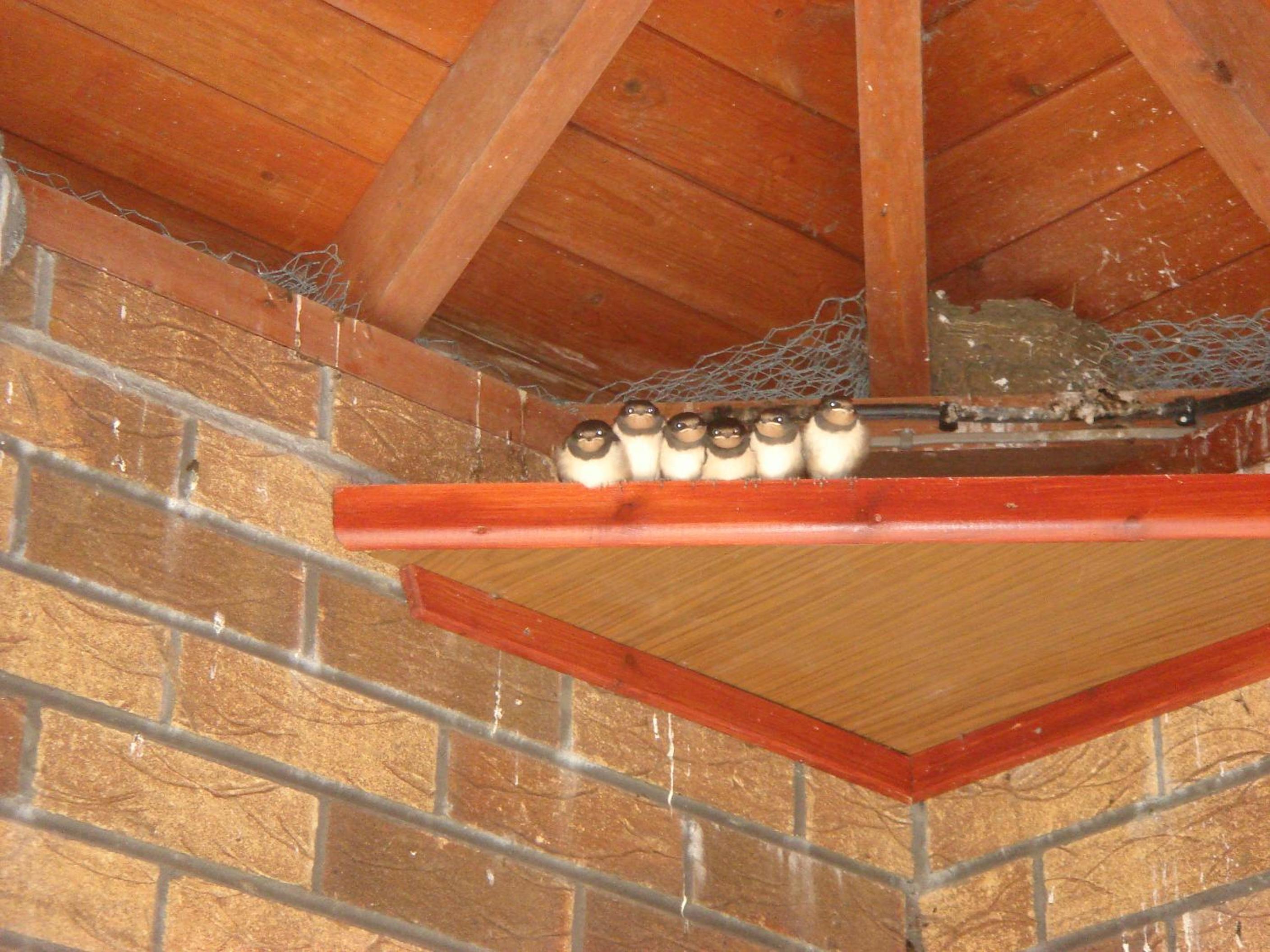 Photo 52