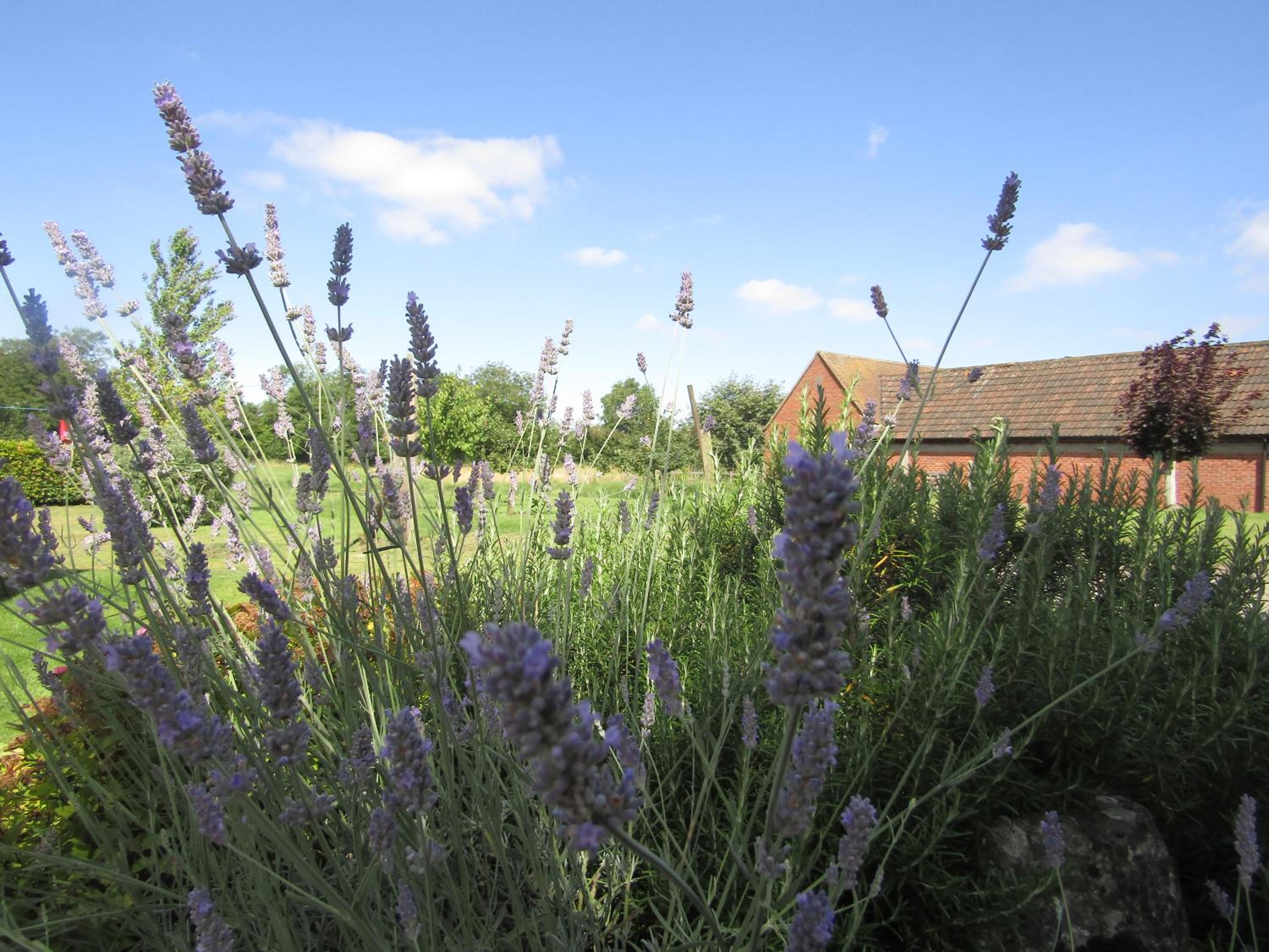 Home Farm Boreham