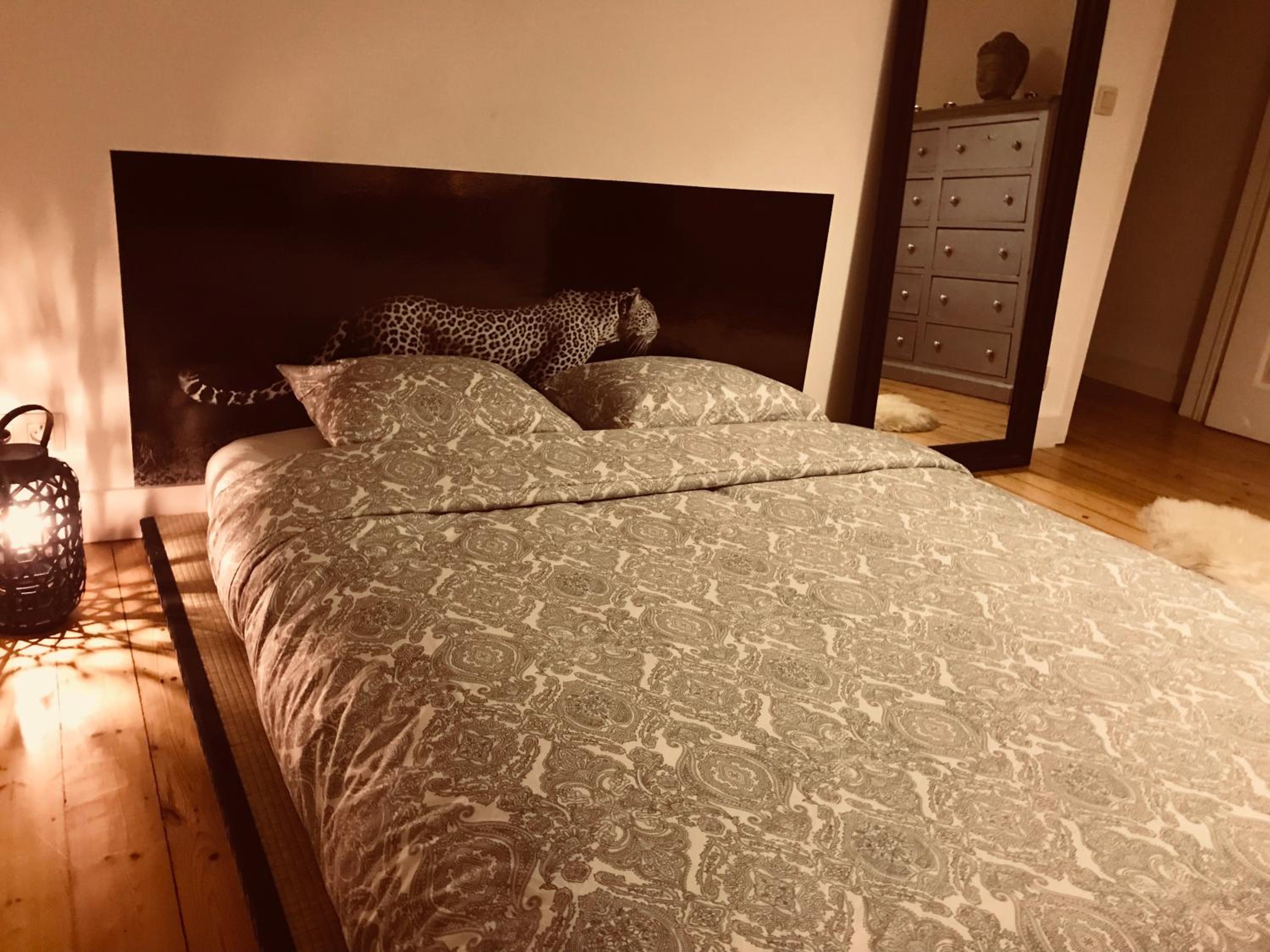Chic Cocoon Guest House