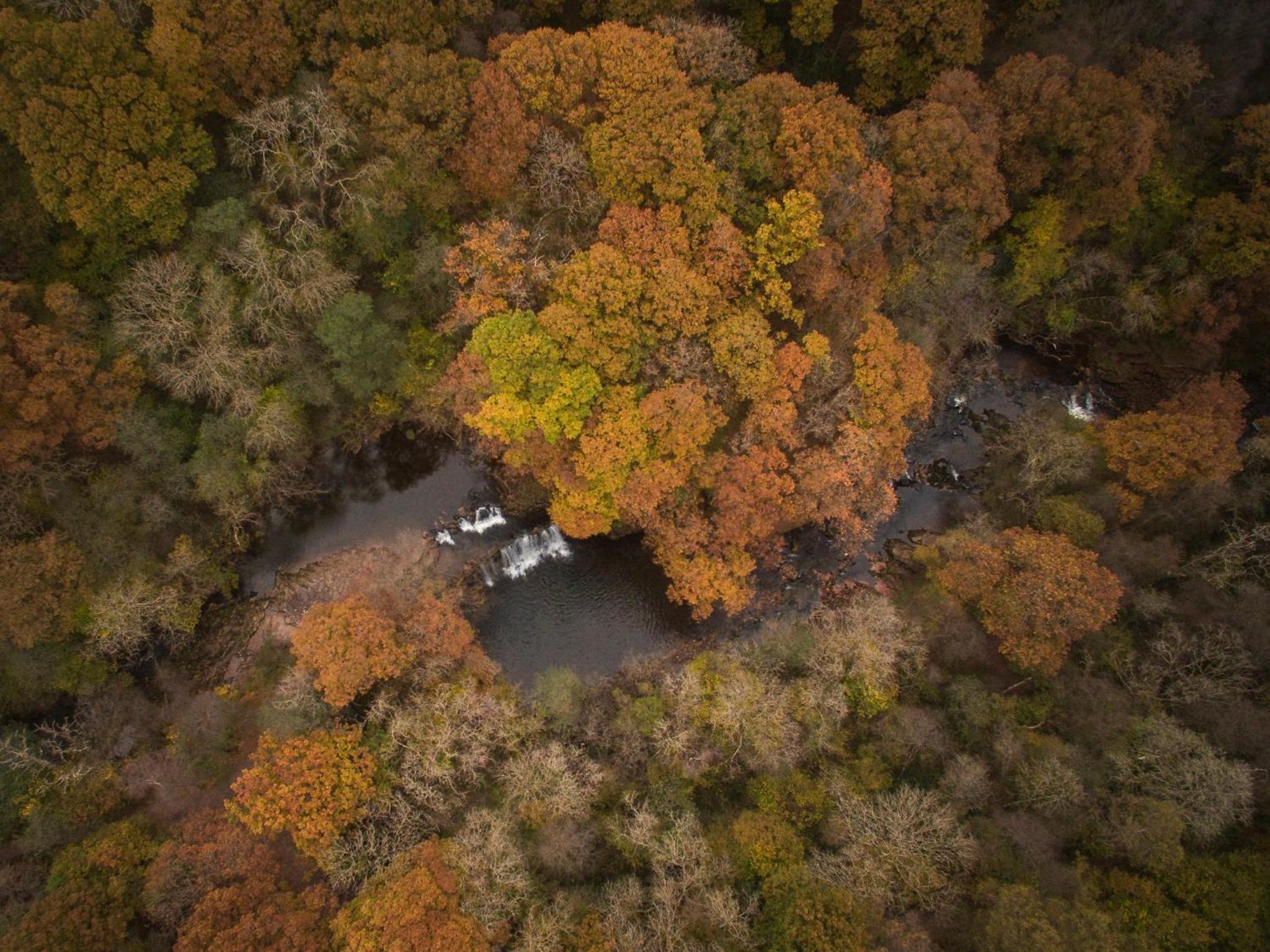 Waterfall Lodge