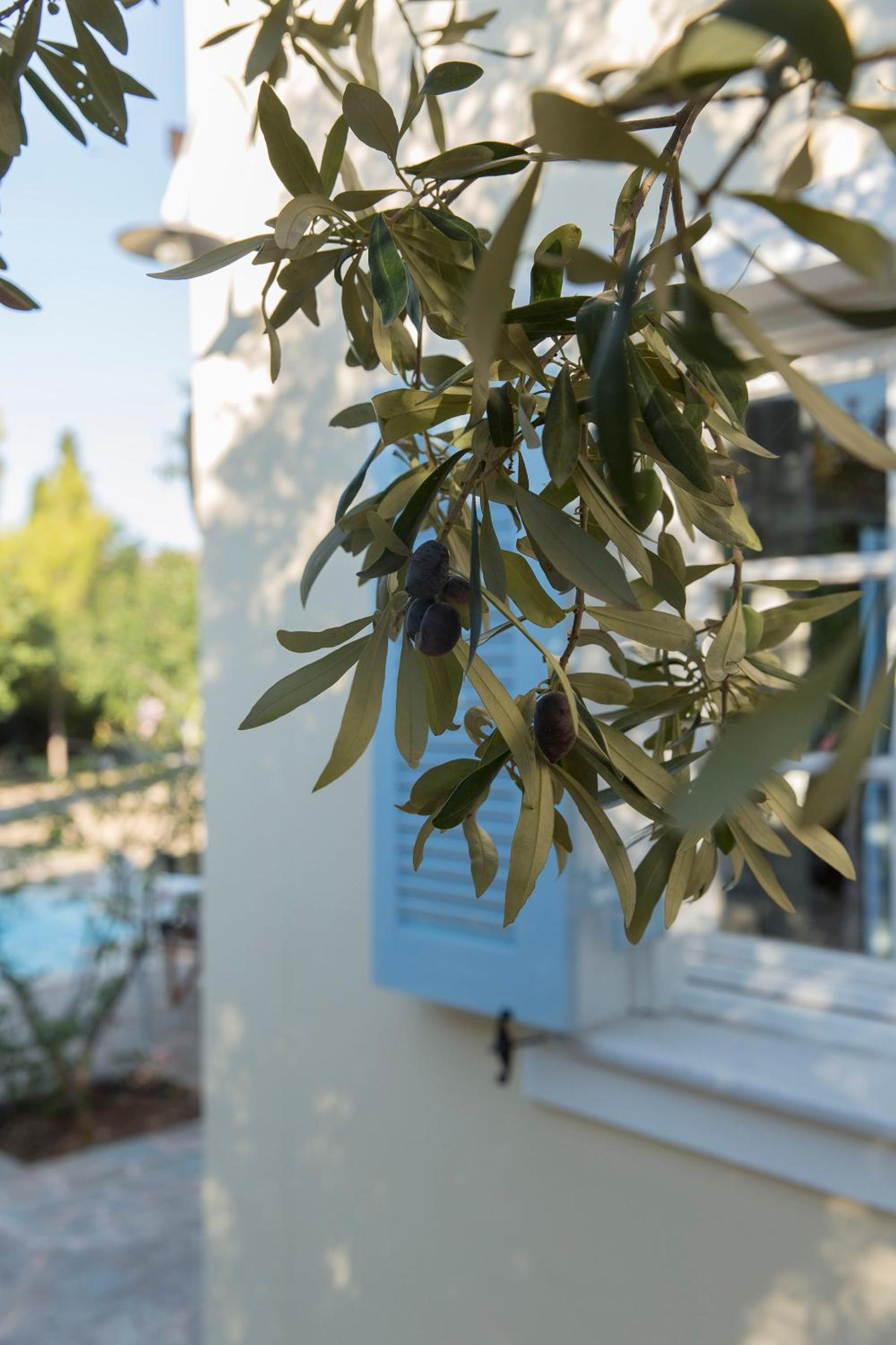 Sea View Pool Villa with Independent Guest house view 4