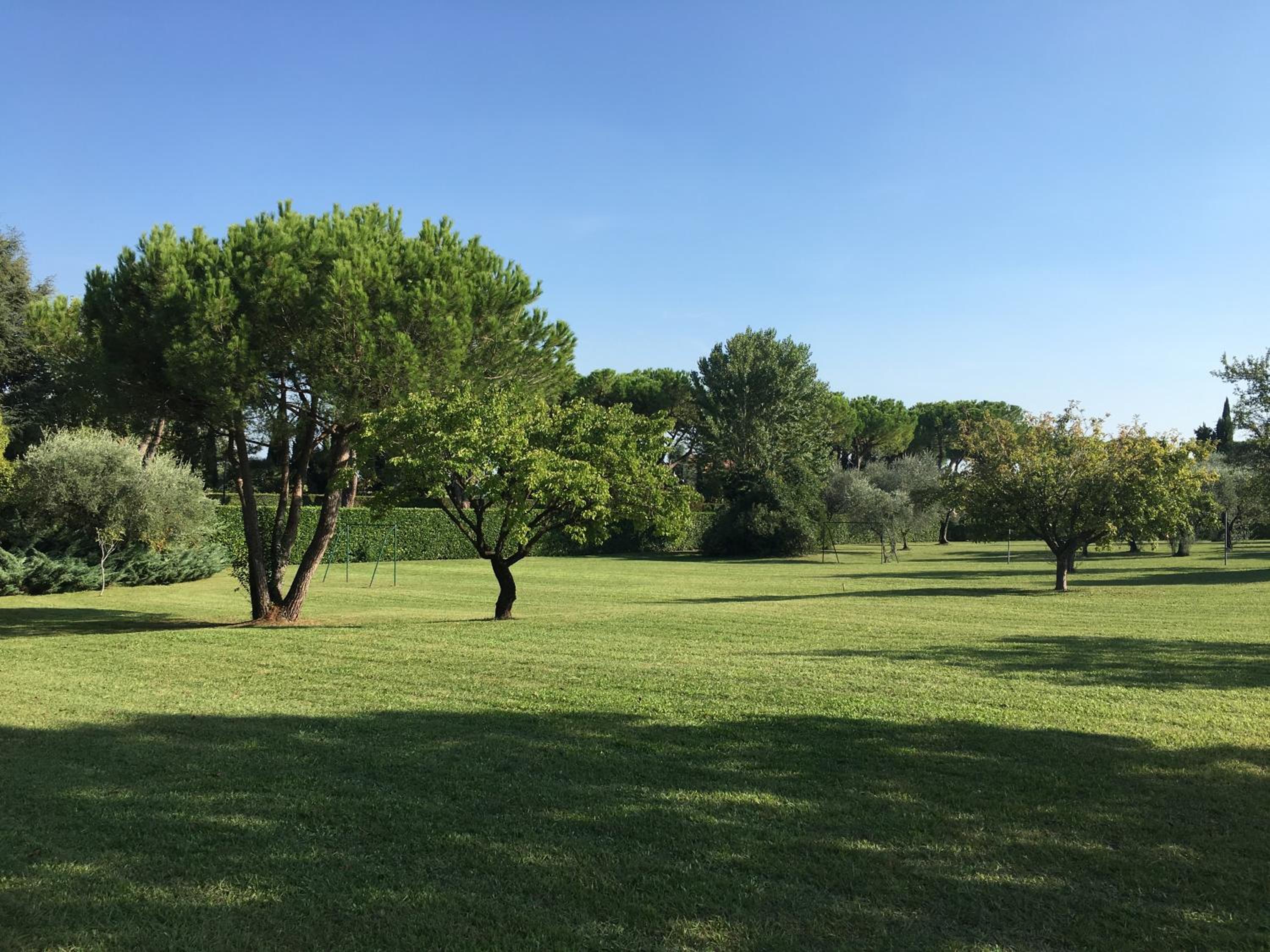 Clorofilla view 4