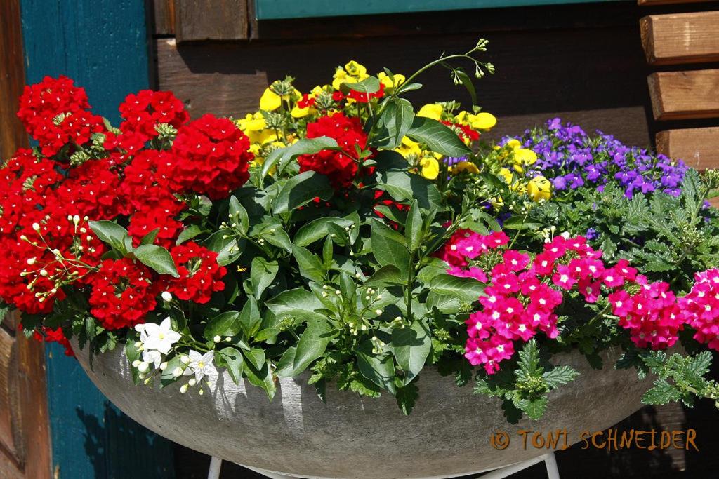 Photo 40