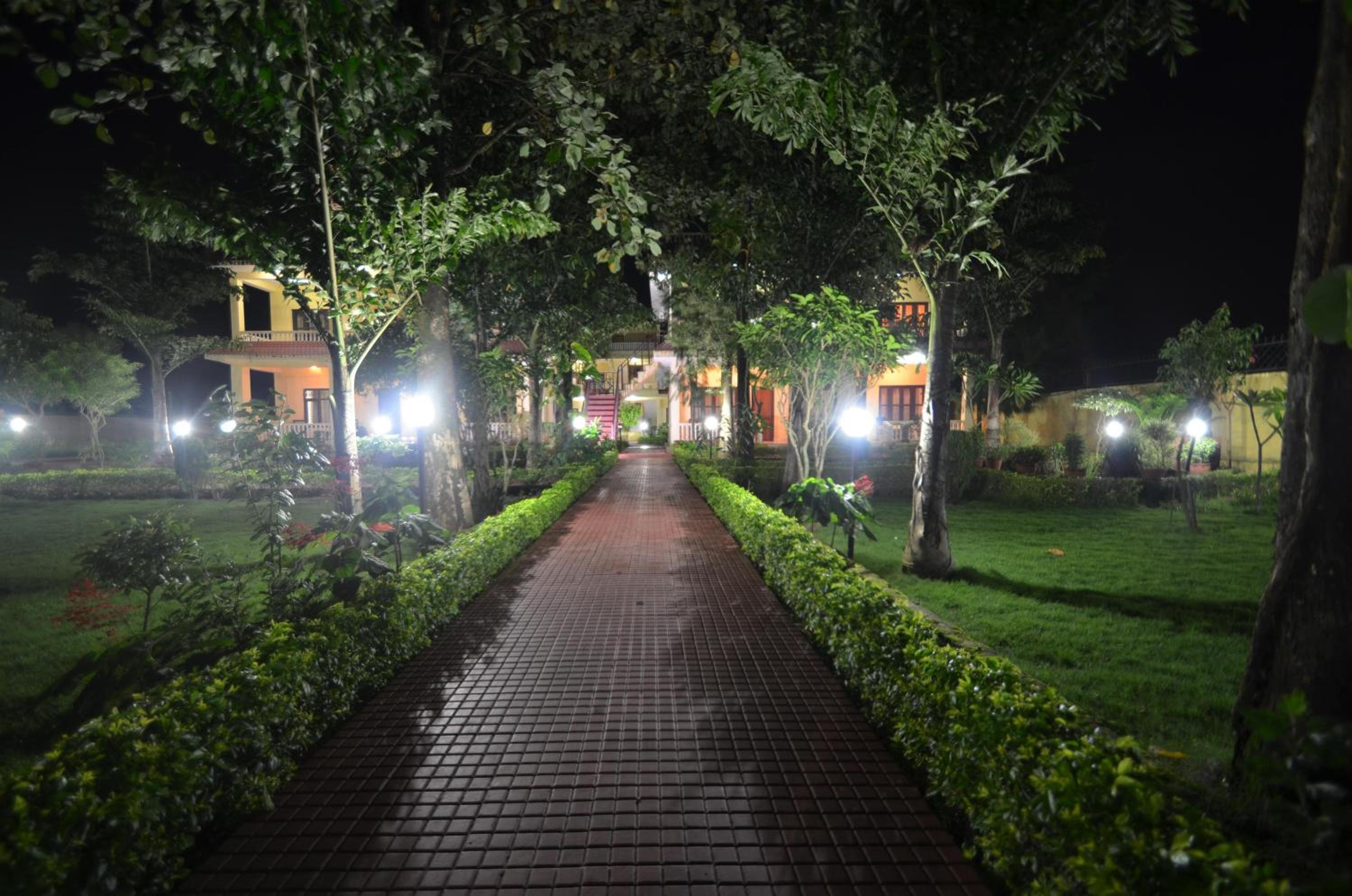Photo 20