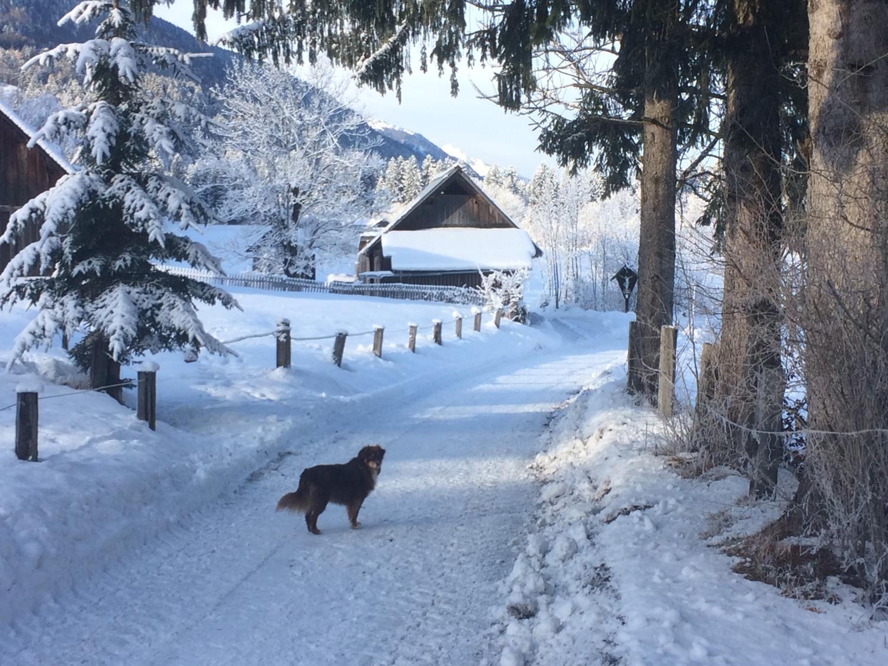 Ferienwohnungen Gritzner