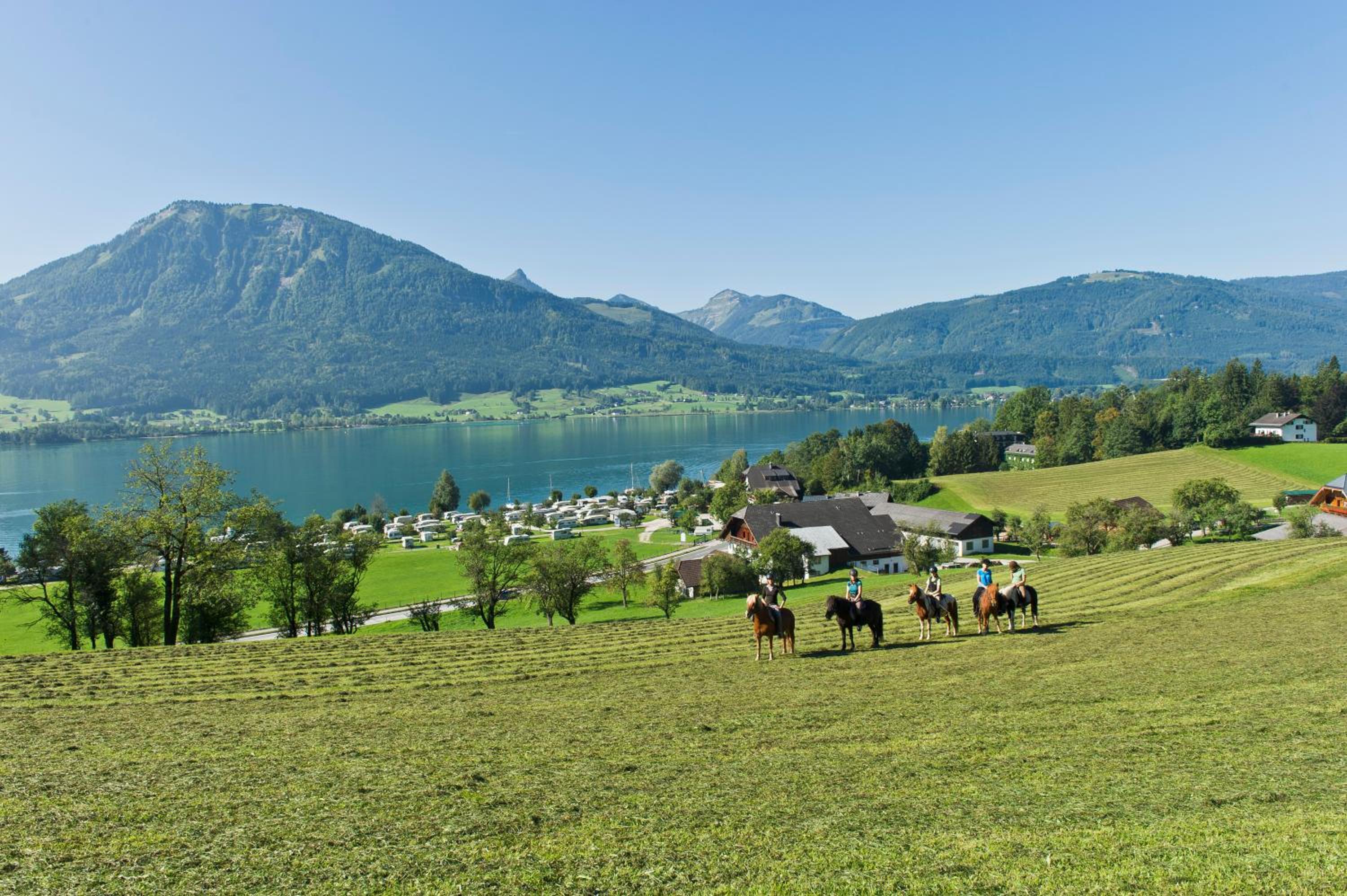 Reiterhof Suassbauer