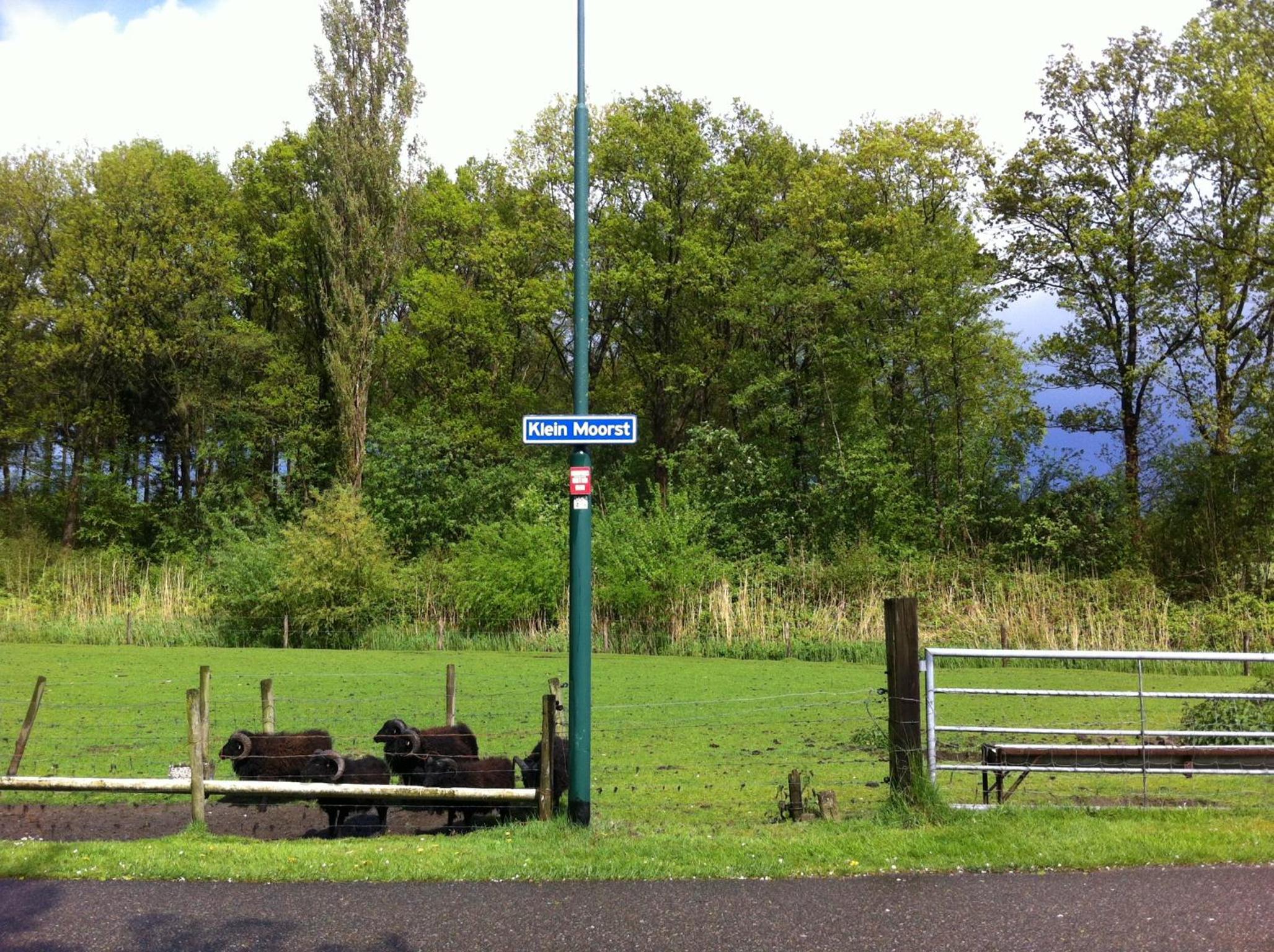 Elferink Hoeve view 4