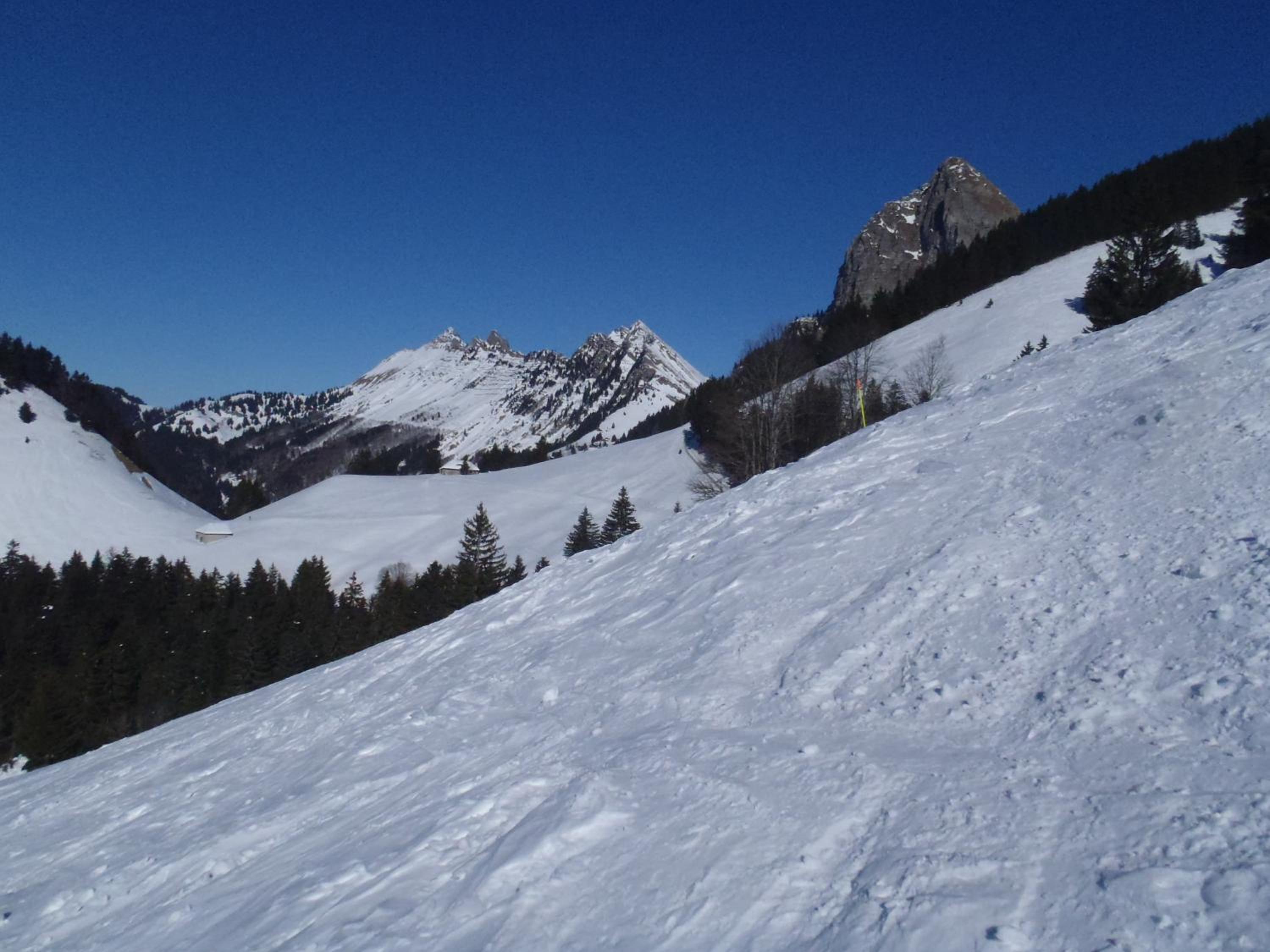 Gais Alpins