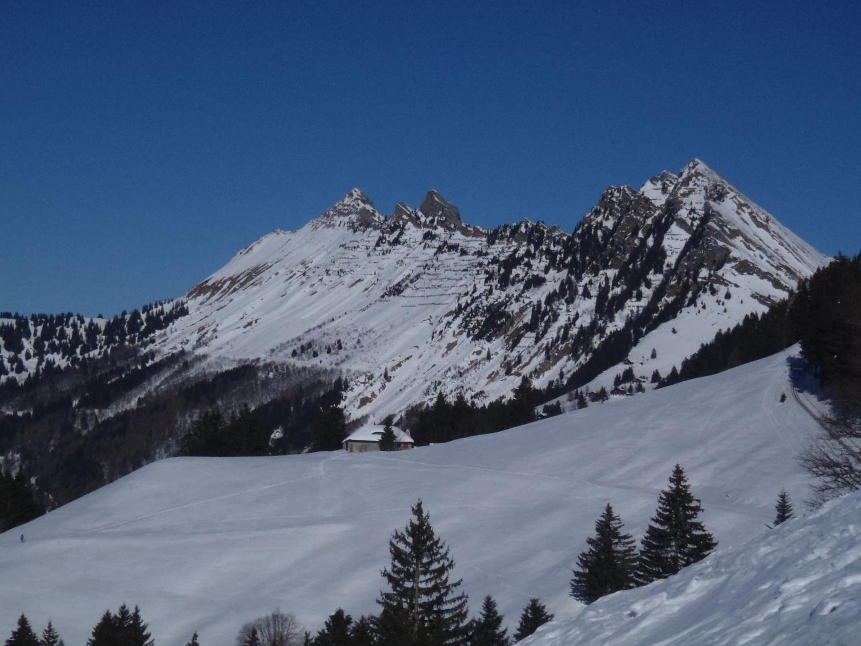 Gais Alpins