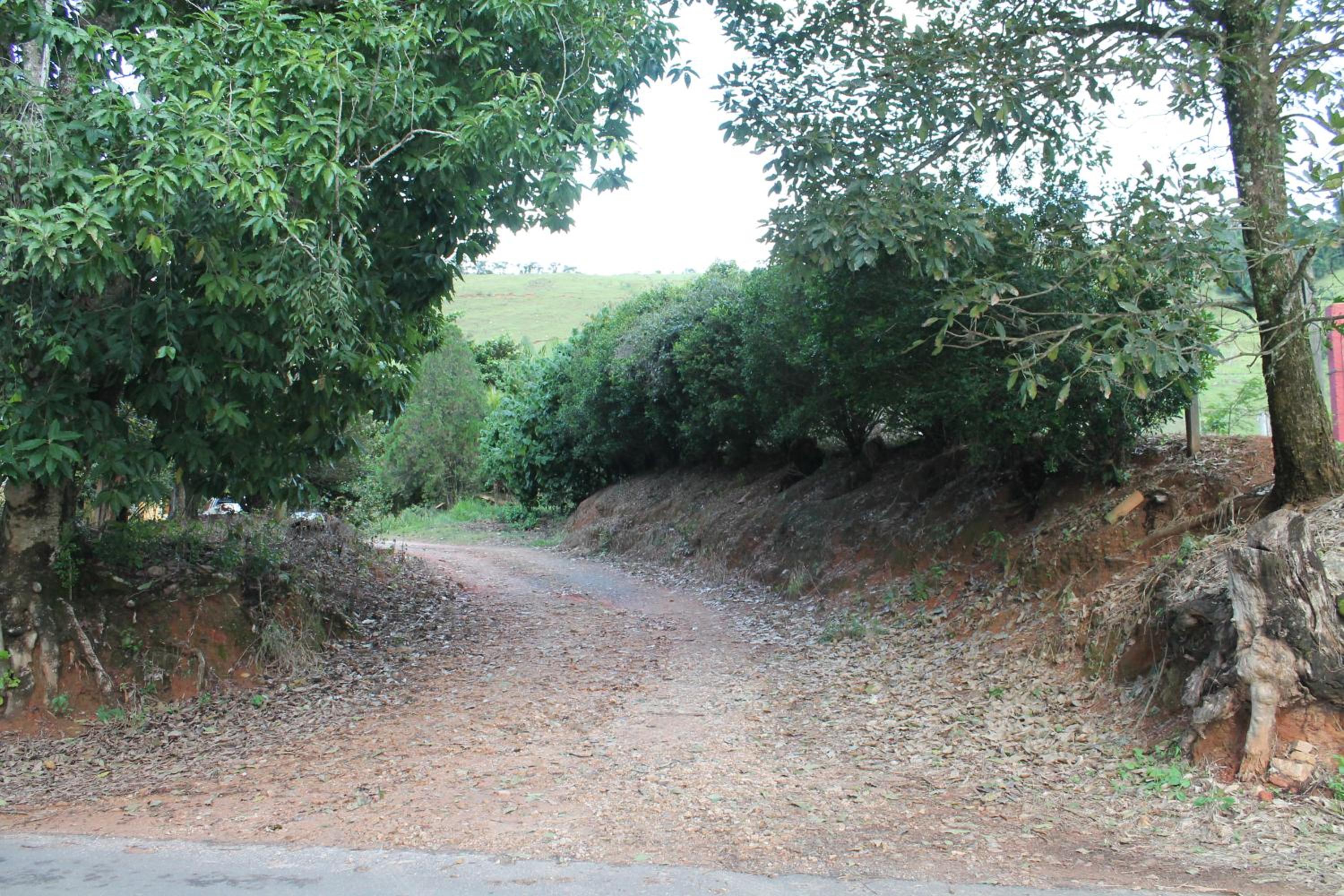 Quinta dos Paiva: horta natural e sossego