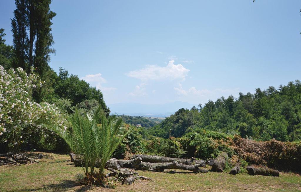 Villa Fiore photo 3