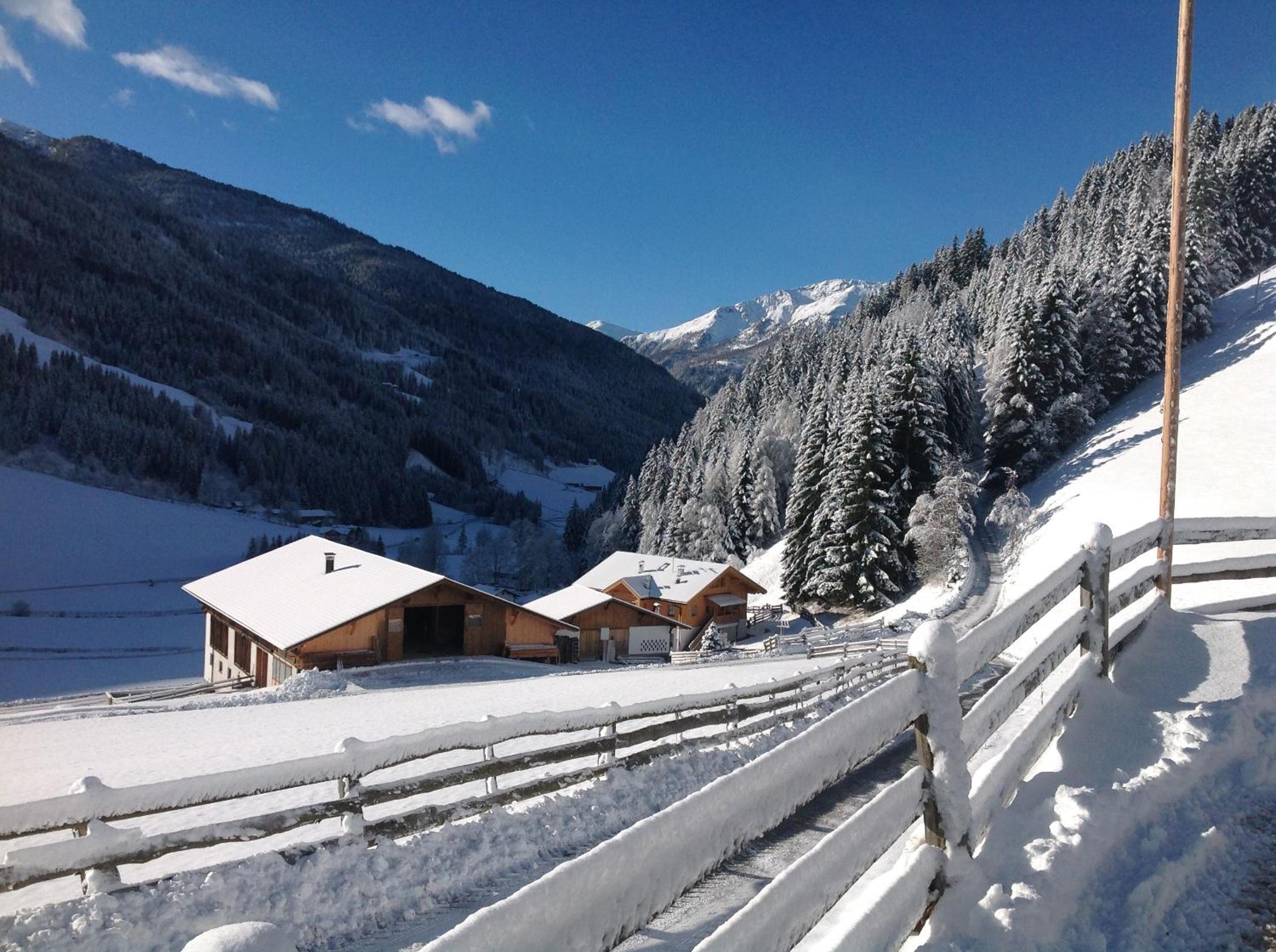 Biohof Hamann view 4