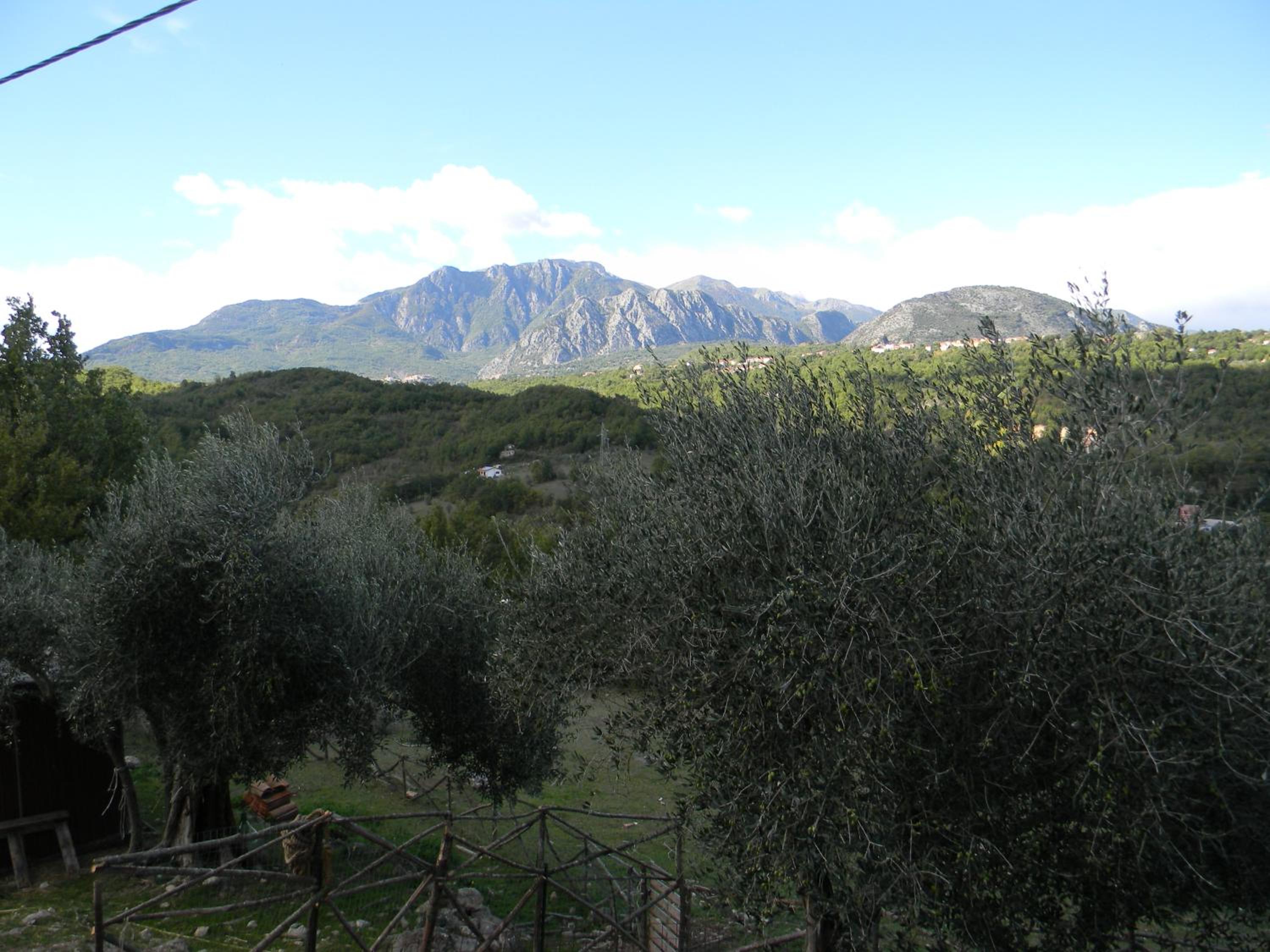 la masseria di Antonio e Teresina view 3